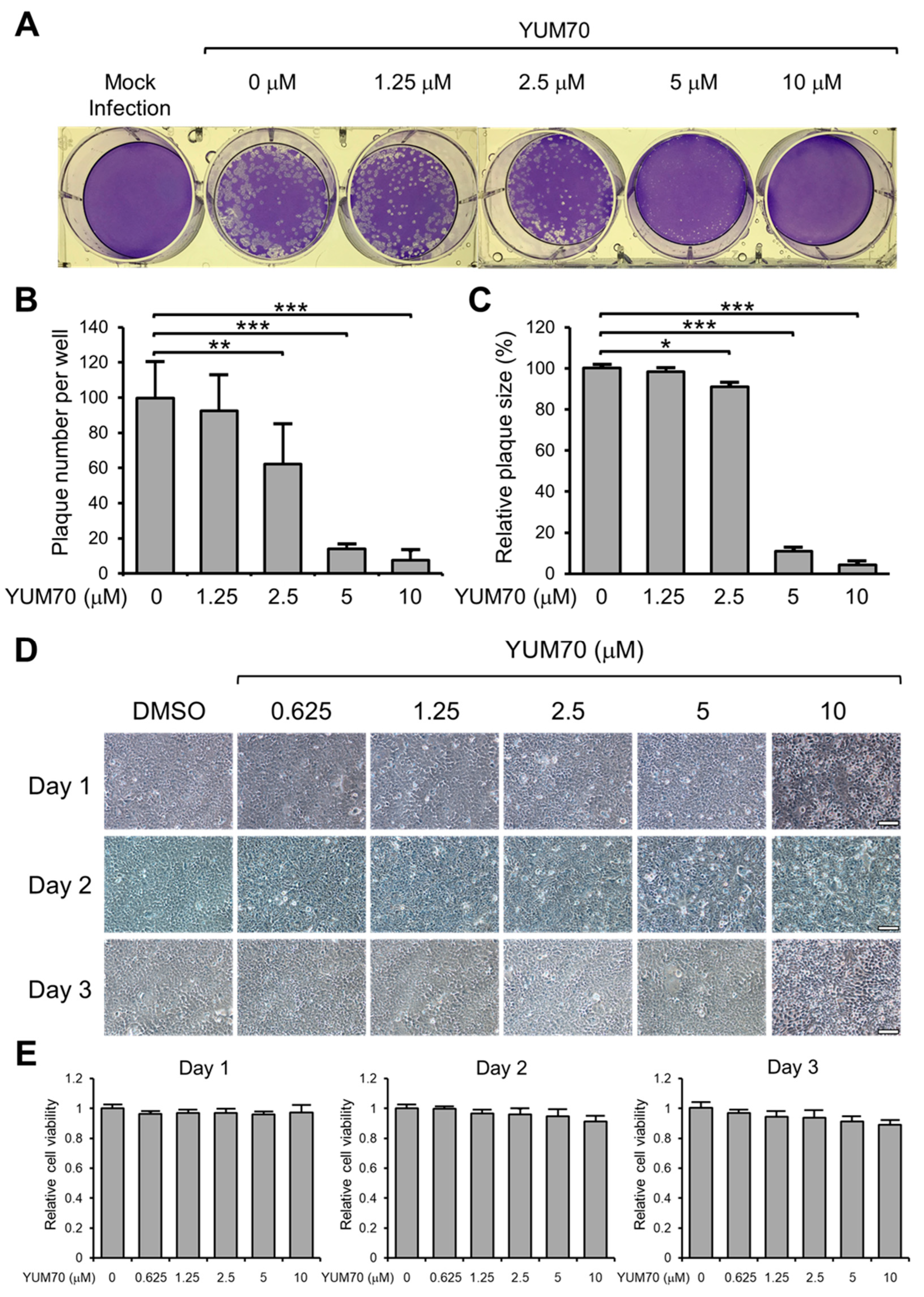 Viruses 15 01118 g002