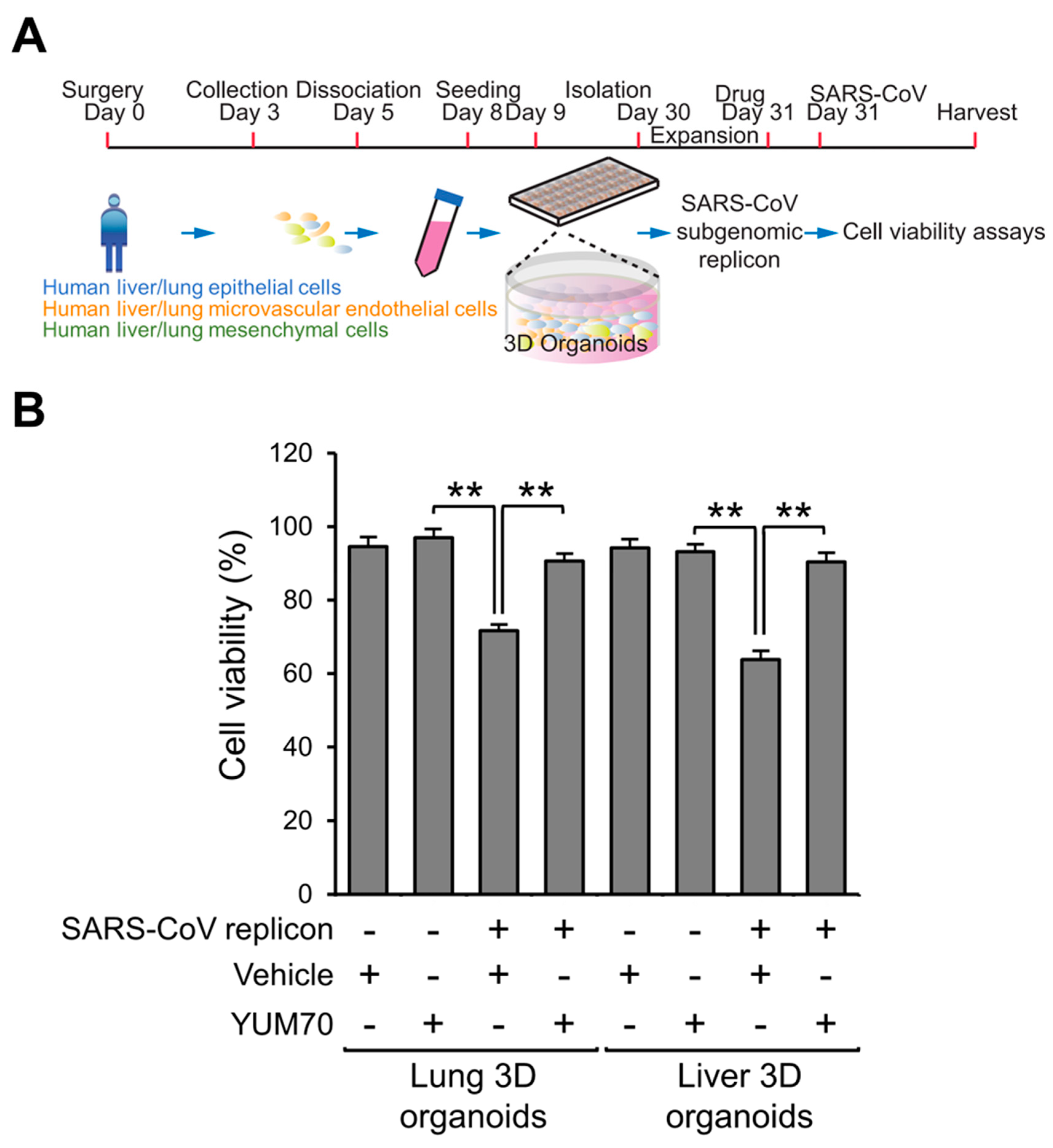 Viruses 15 01118 g004