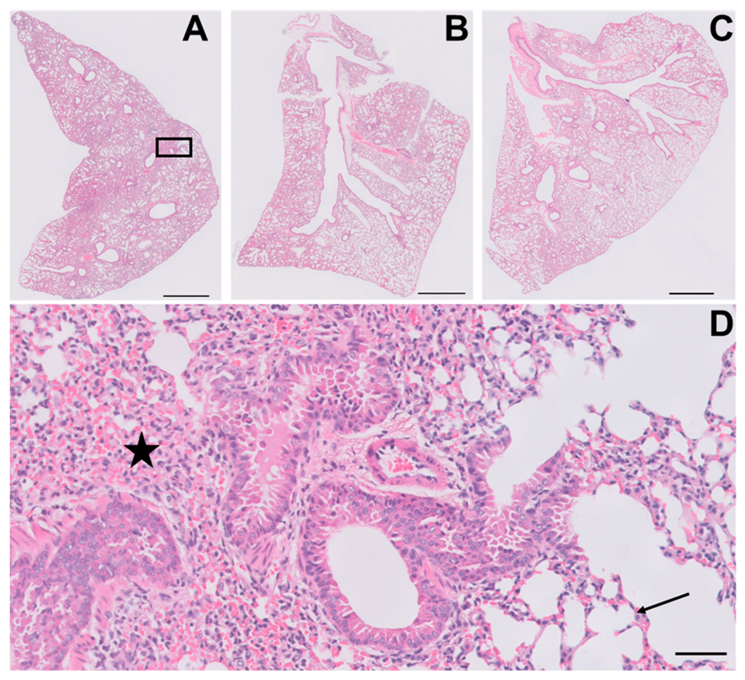 Viruses 15 01118 g006