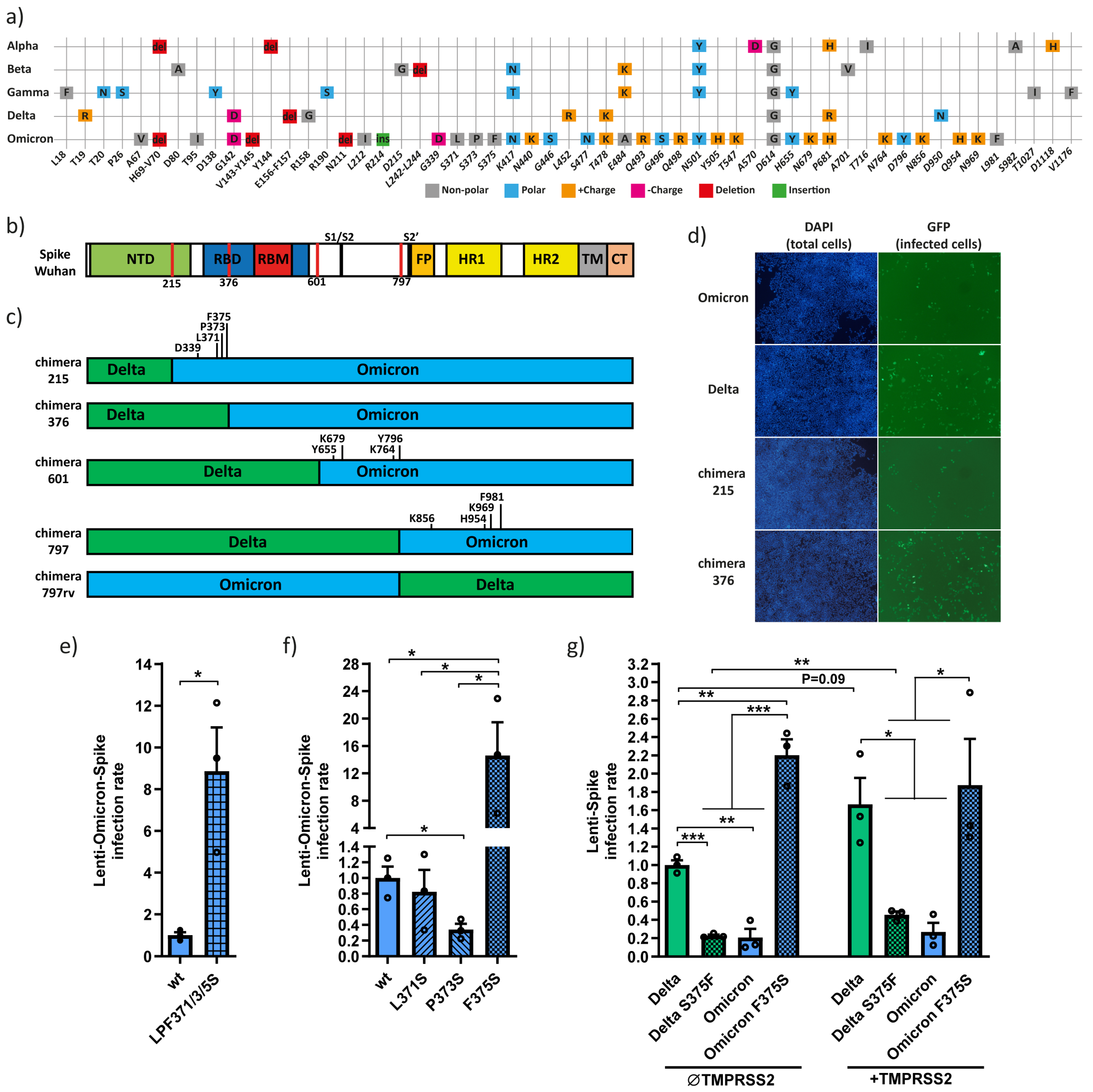 Viruses 15 01129 g001