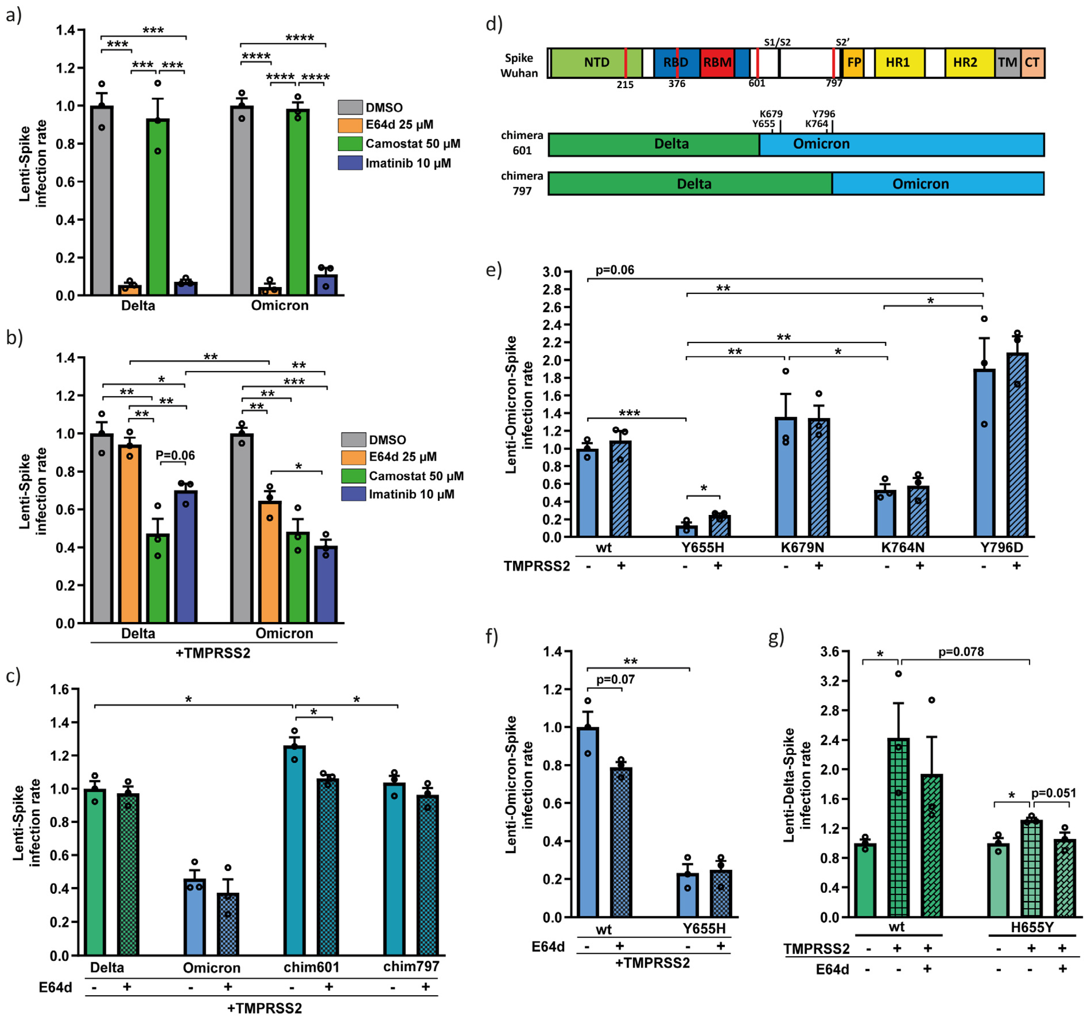 Viruses 15 01129 g002