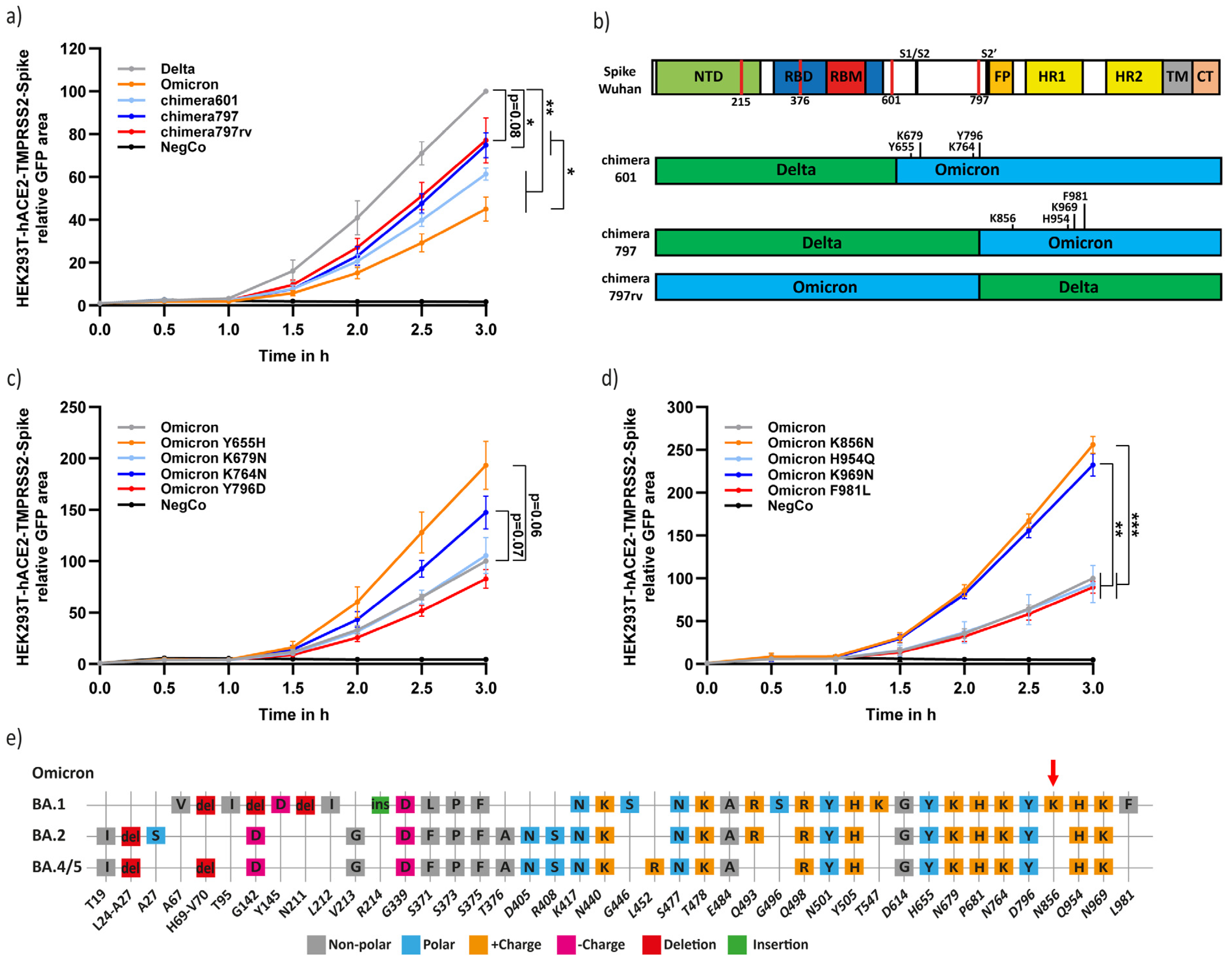 Viruses 15 01129 g003