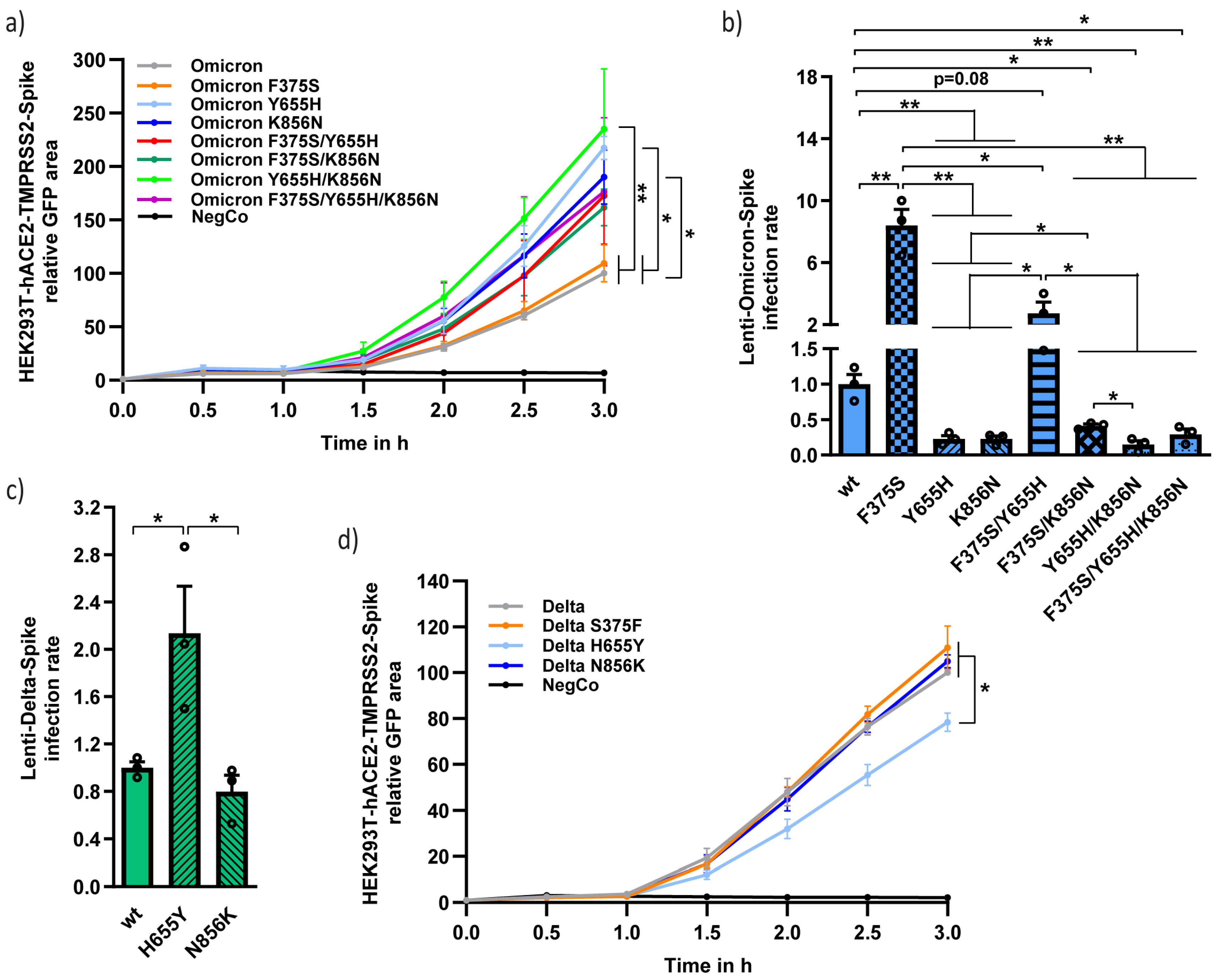 Viruses 15 01129 g004