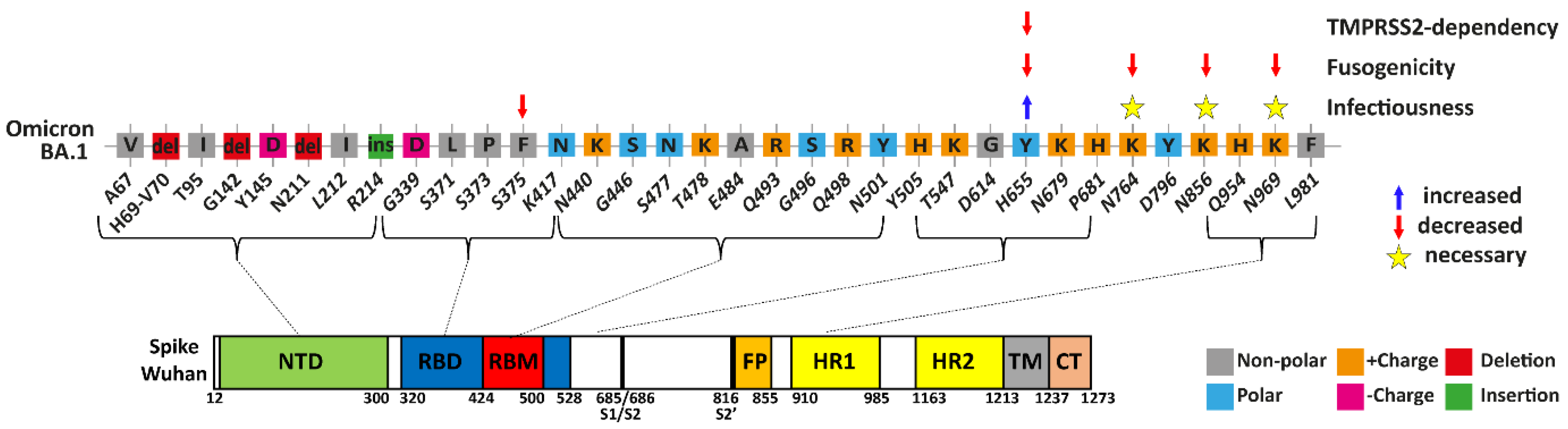 Viruses 15 01129 g005