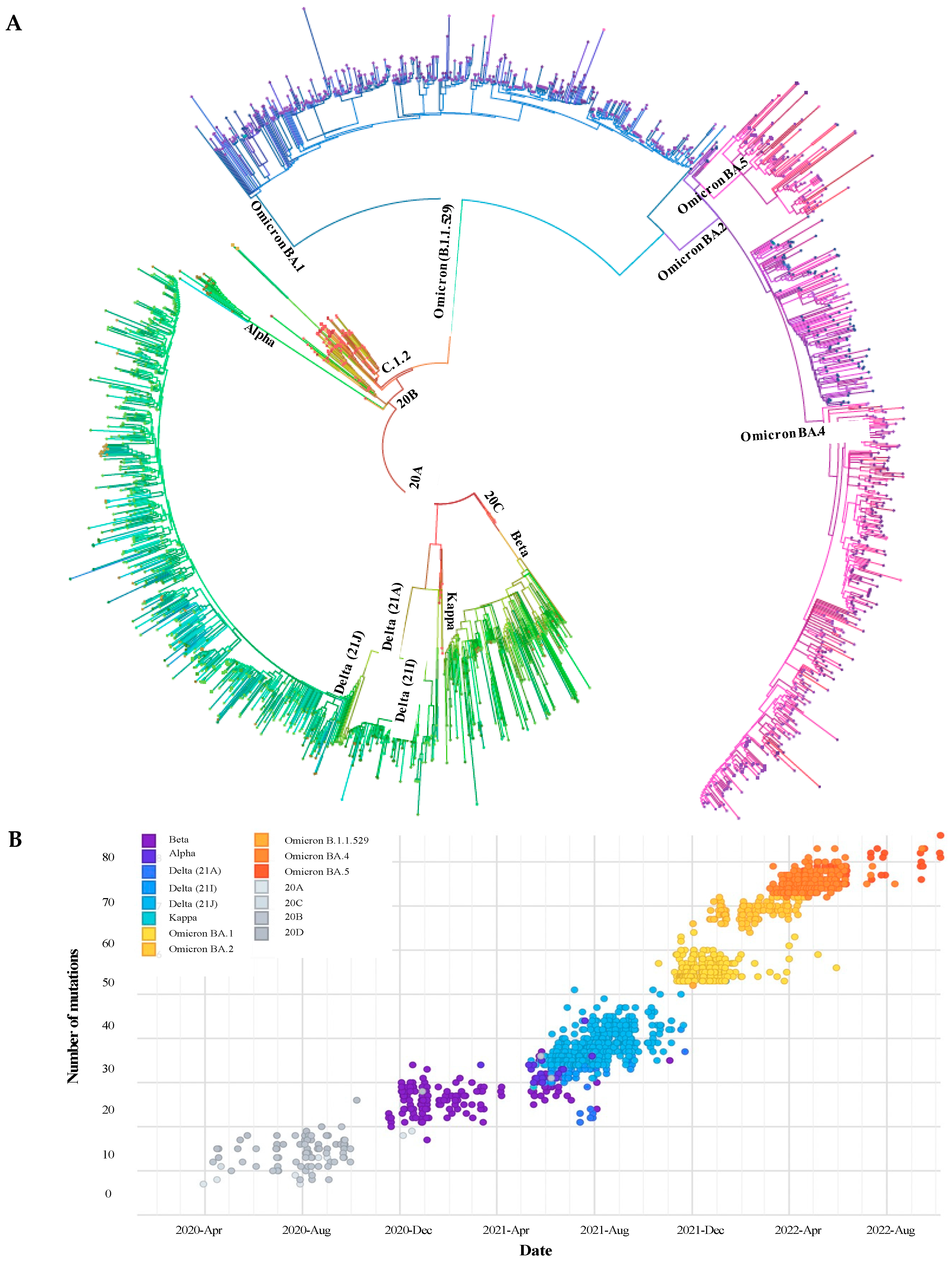 Viruses 15 01194 g002