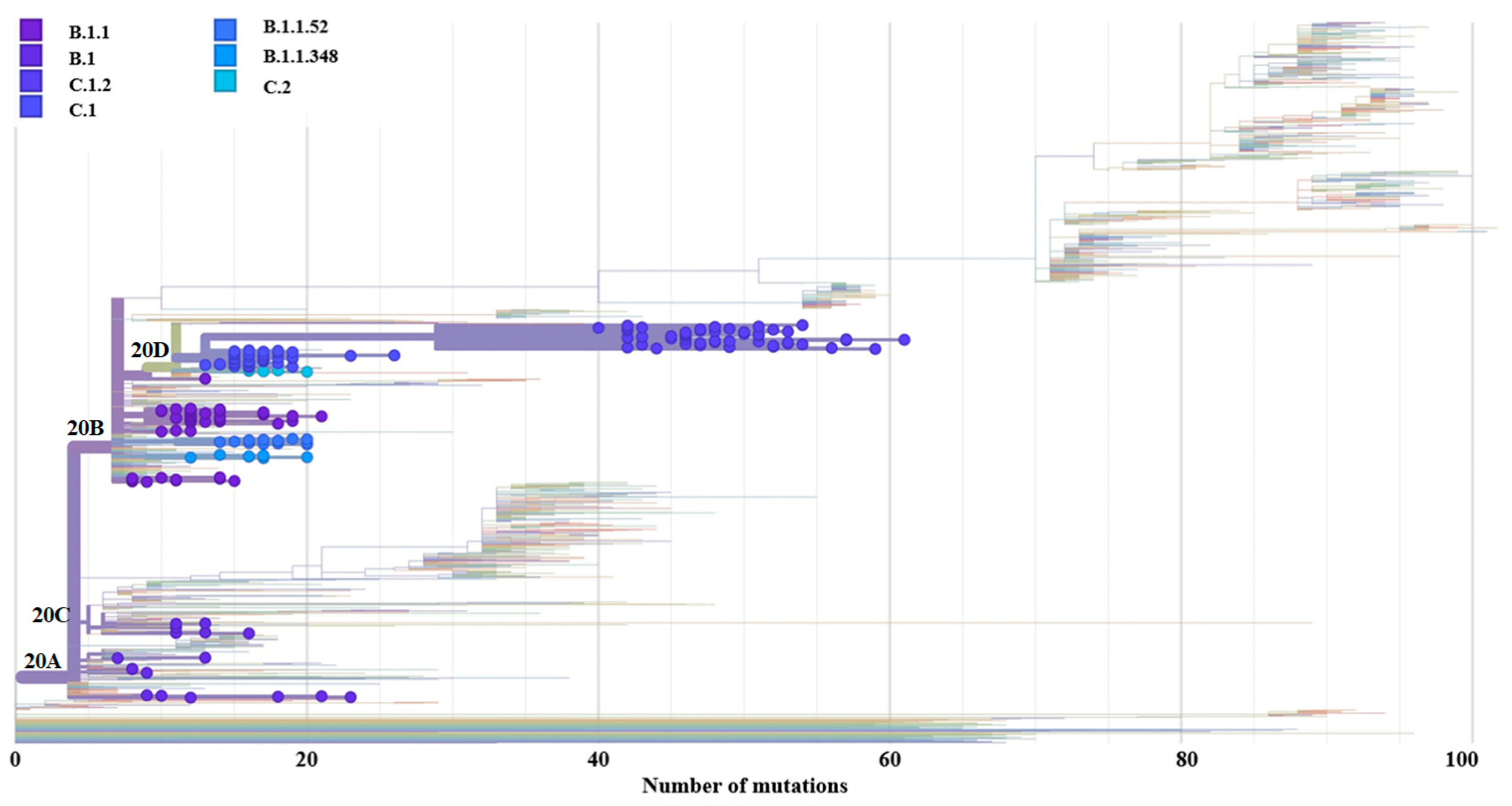 Viruses 15 01194 g003