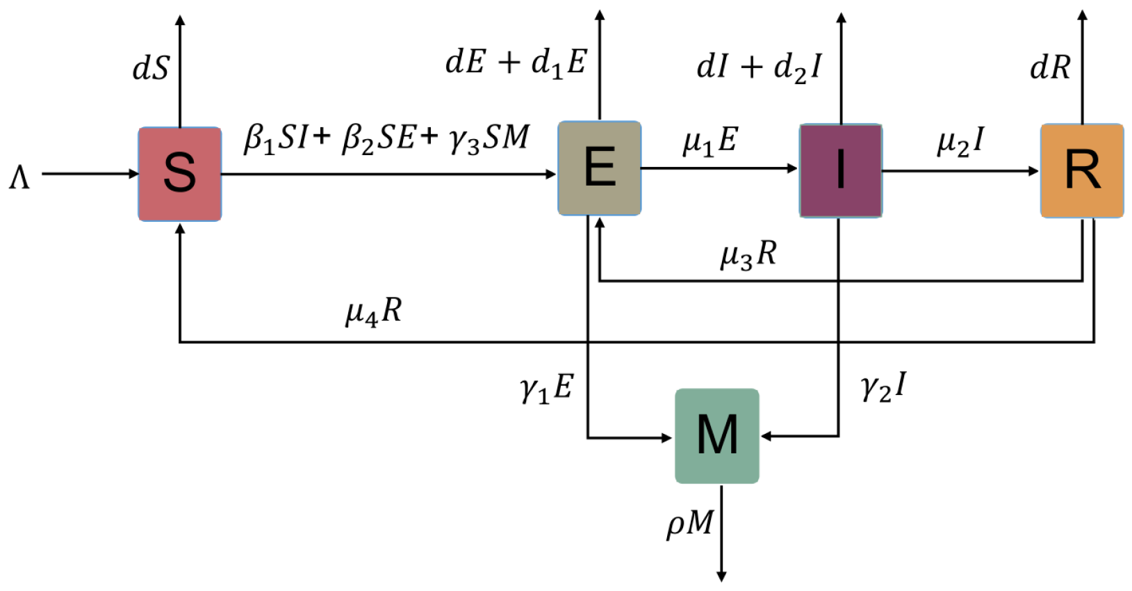 Viruses 15 01201 g001