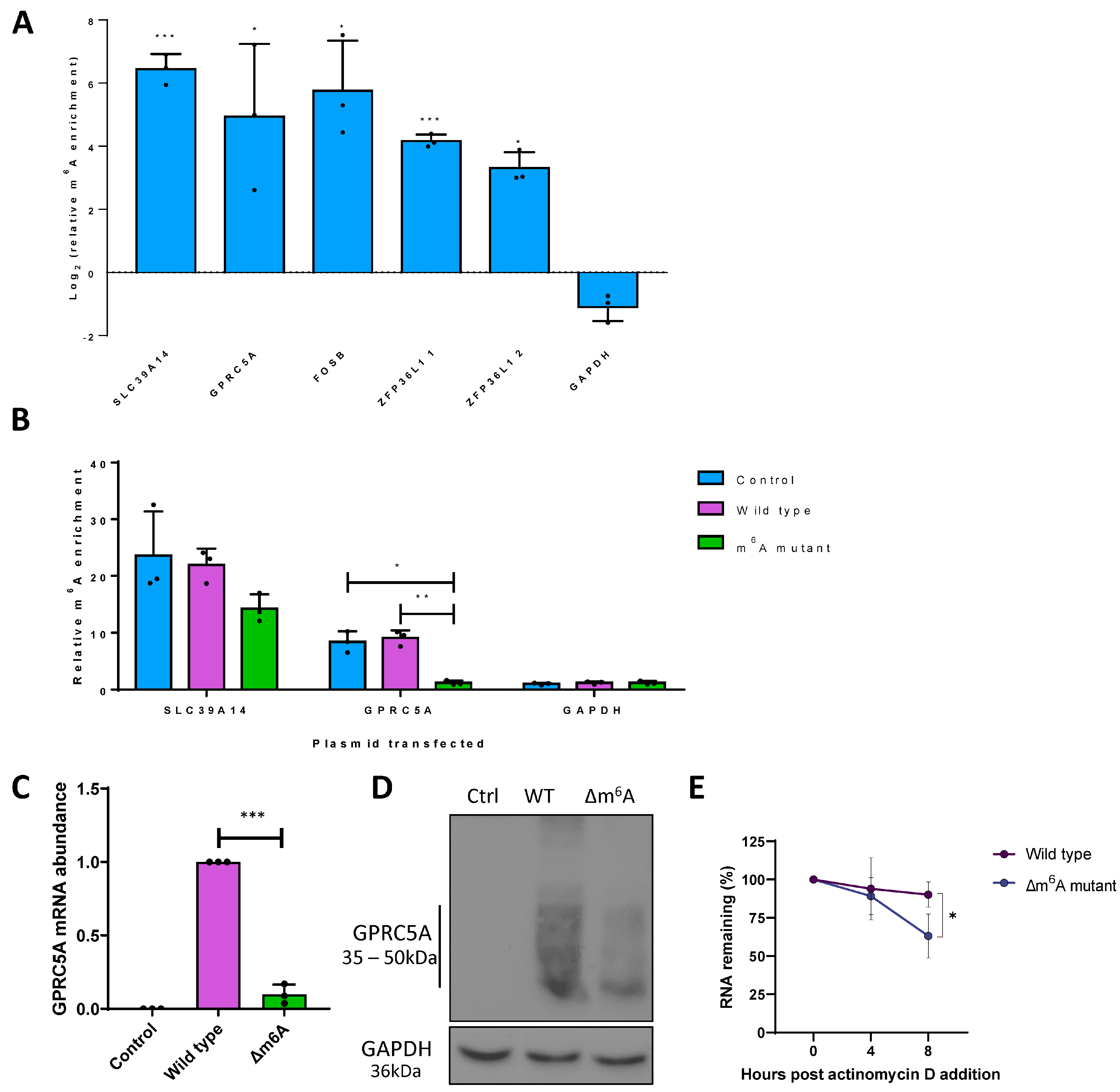 Viruses 15 01381 g002