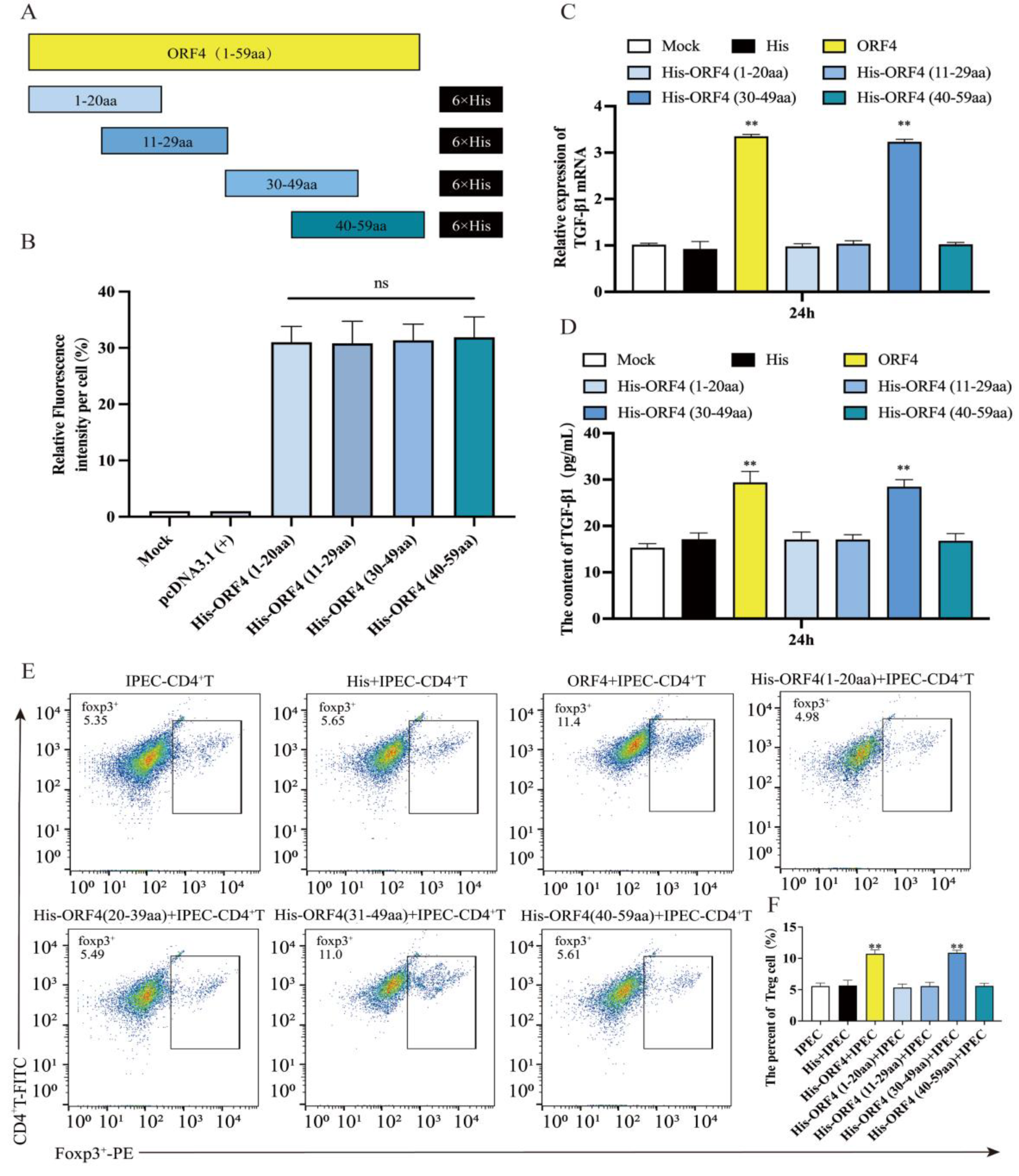 Viruses 15 01602 g003