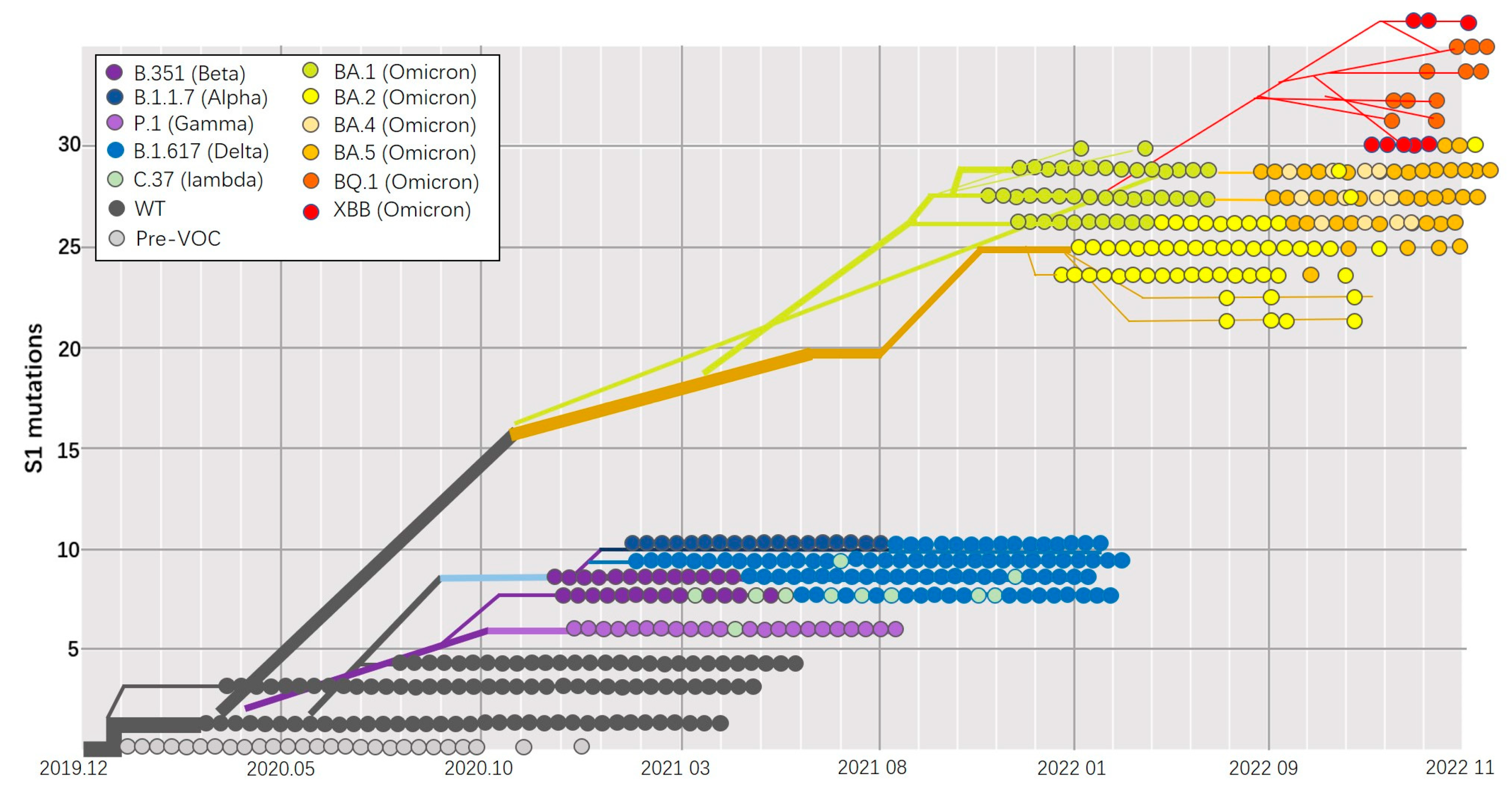 Viruses 15 01760 g002
