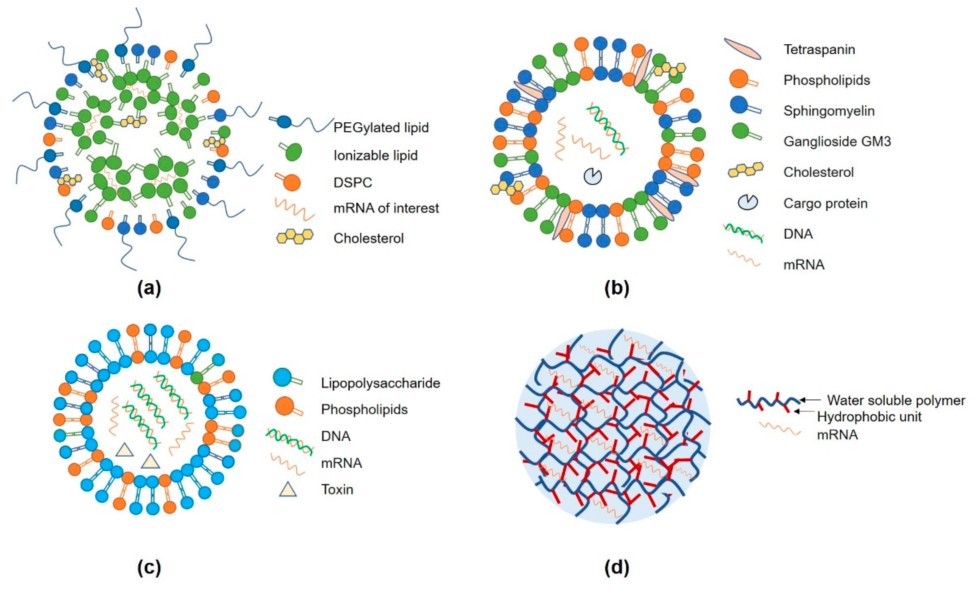 Viruses 15 01760 g003