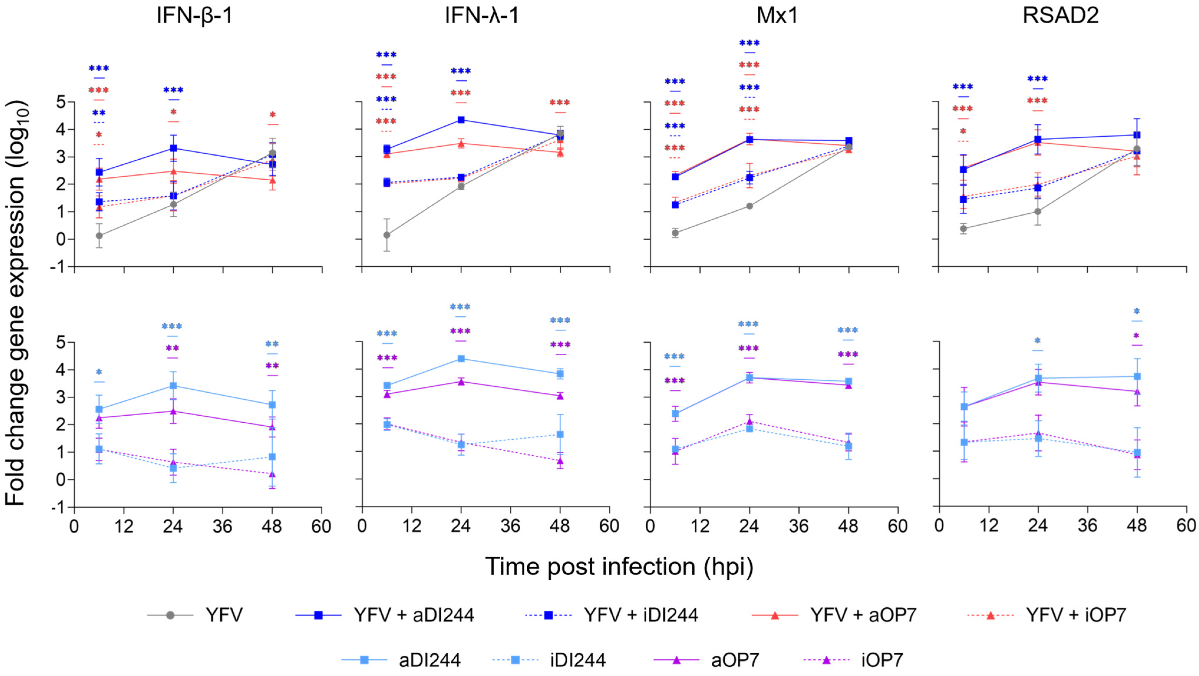 Viruses 15 01872 g002