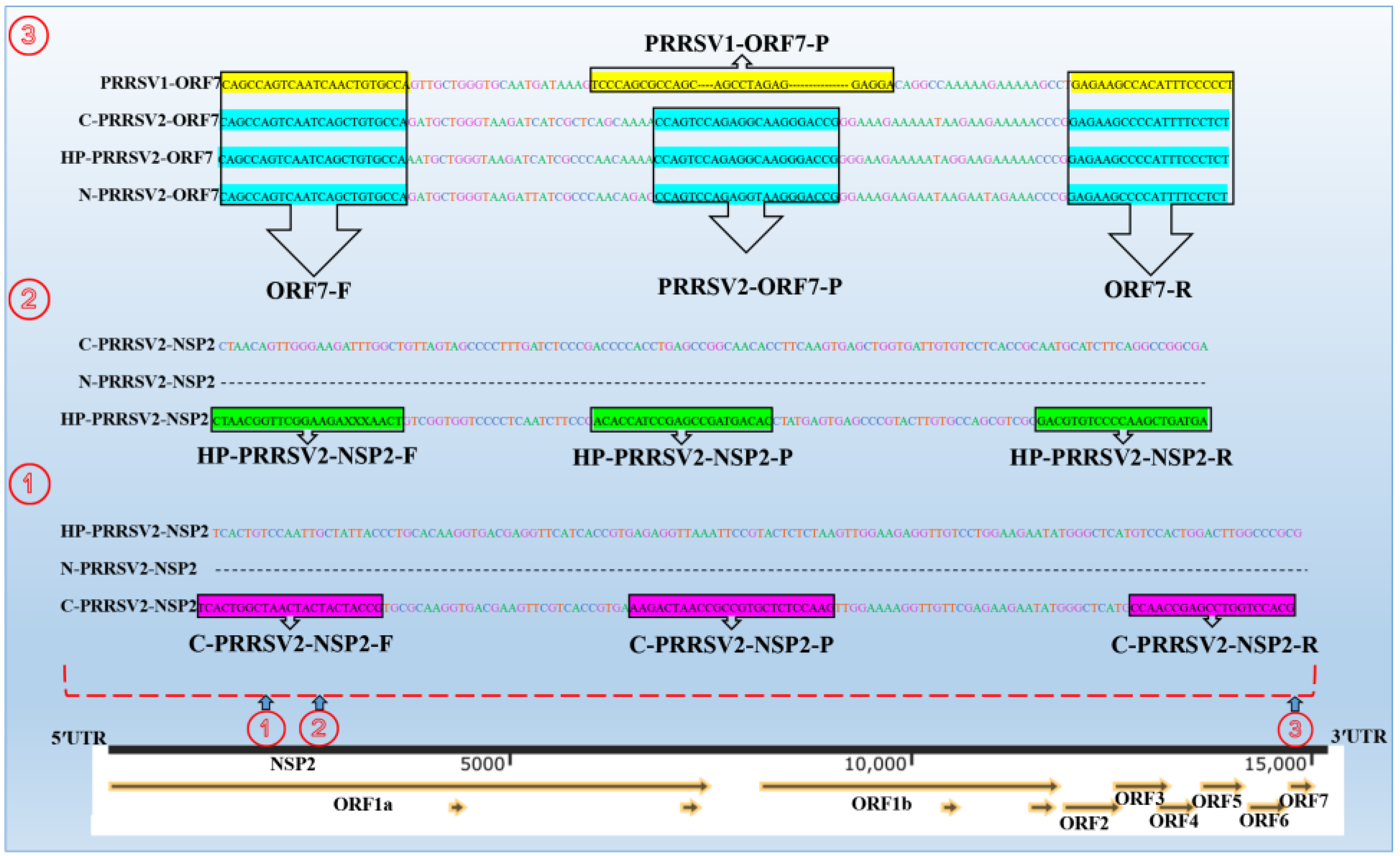 Viruses 15 01946 g001