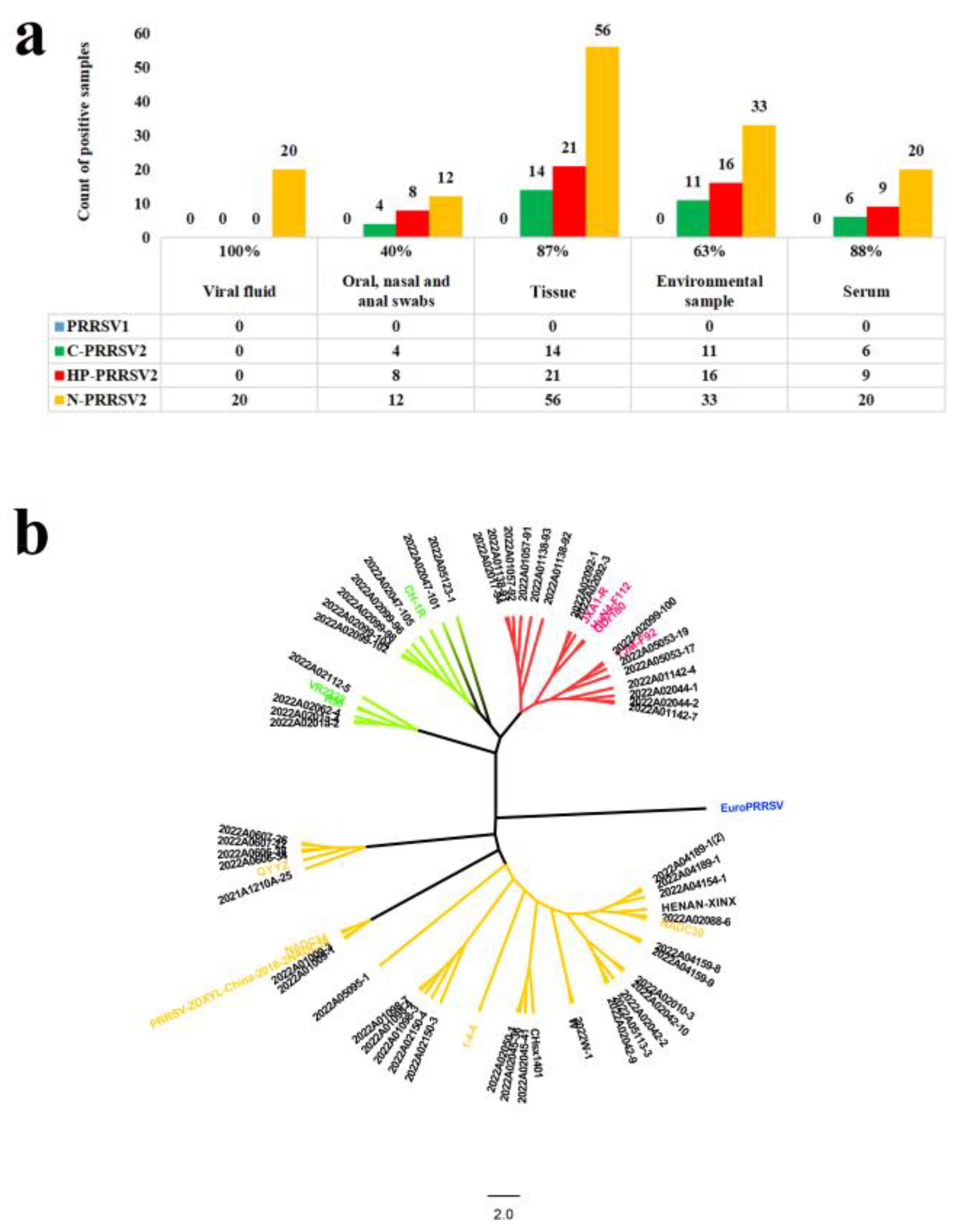 Viruses 15 01946 g009
