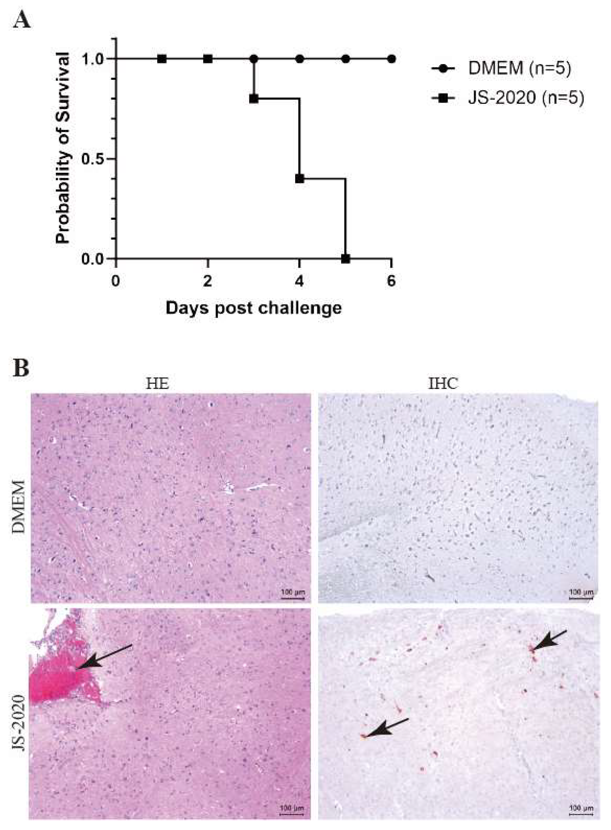 Viruses 15 01966 g006