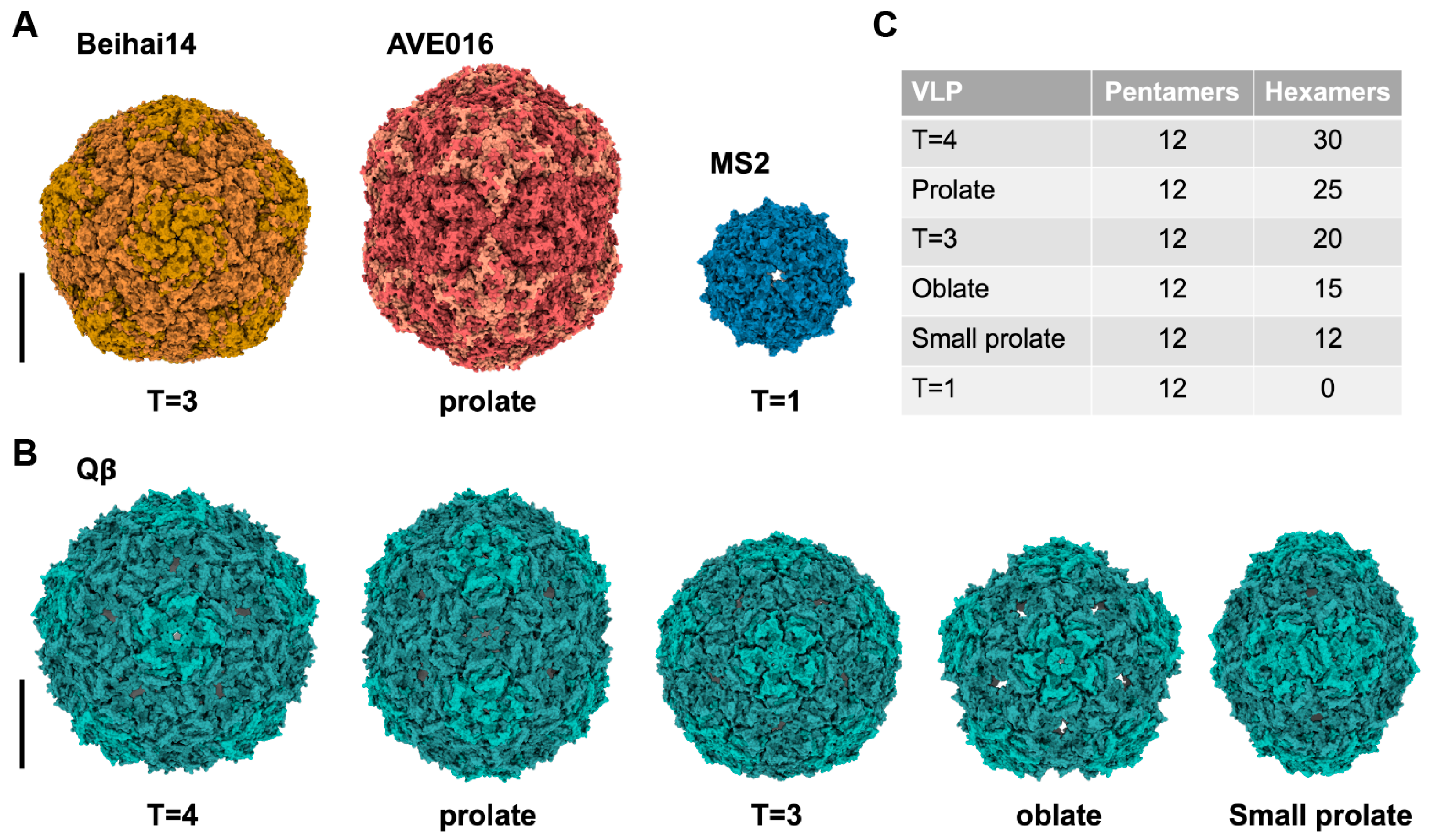 Viruses 15 01985 g008