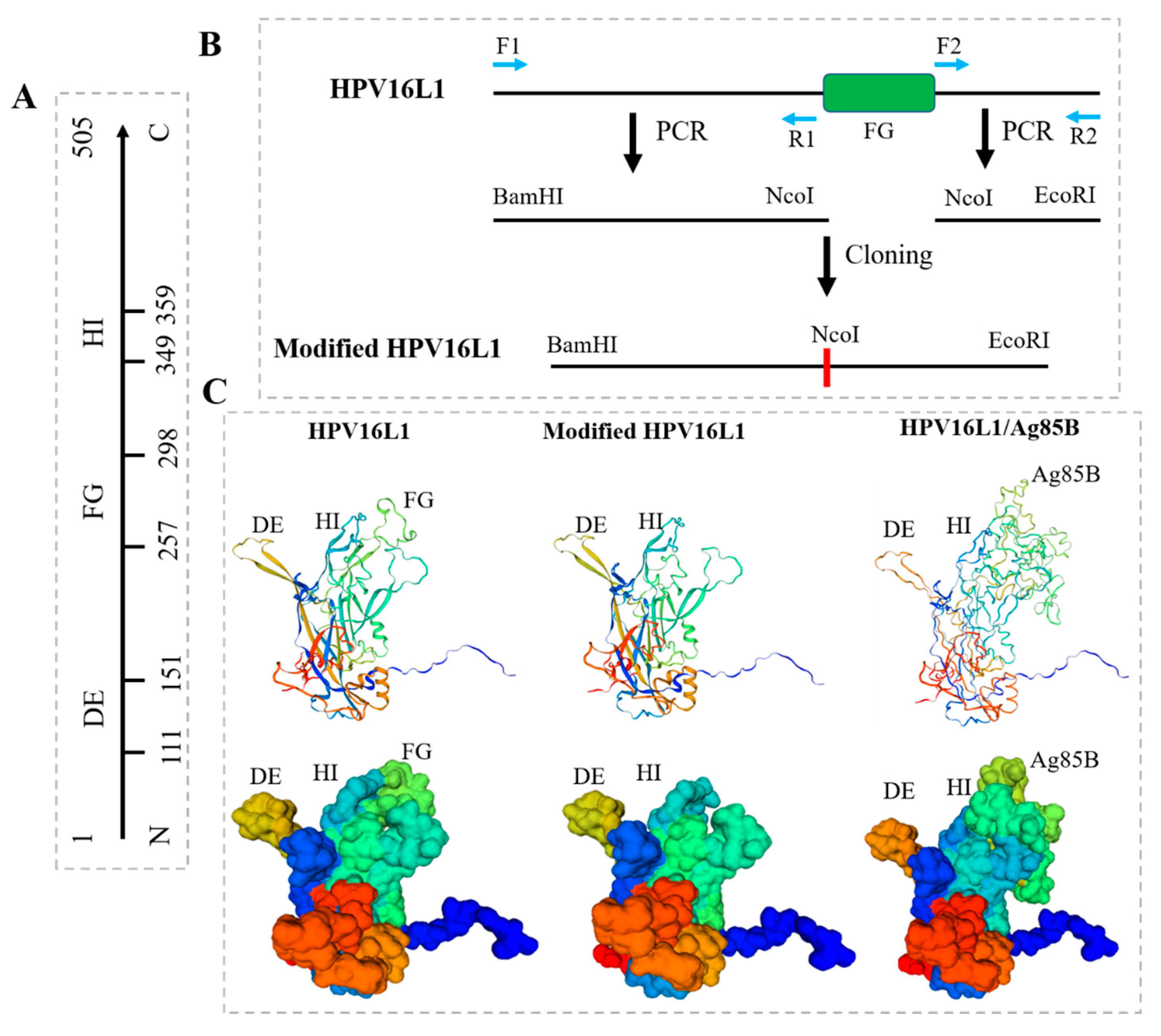 Viruses 15 02123 g003