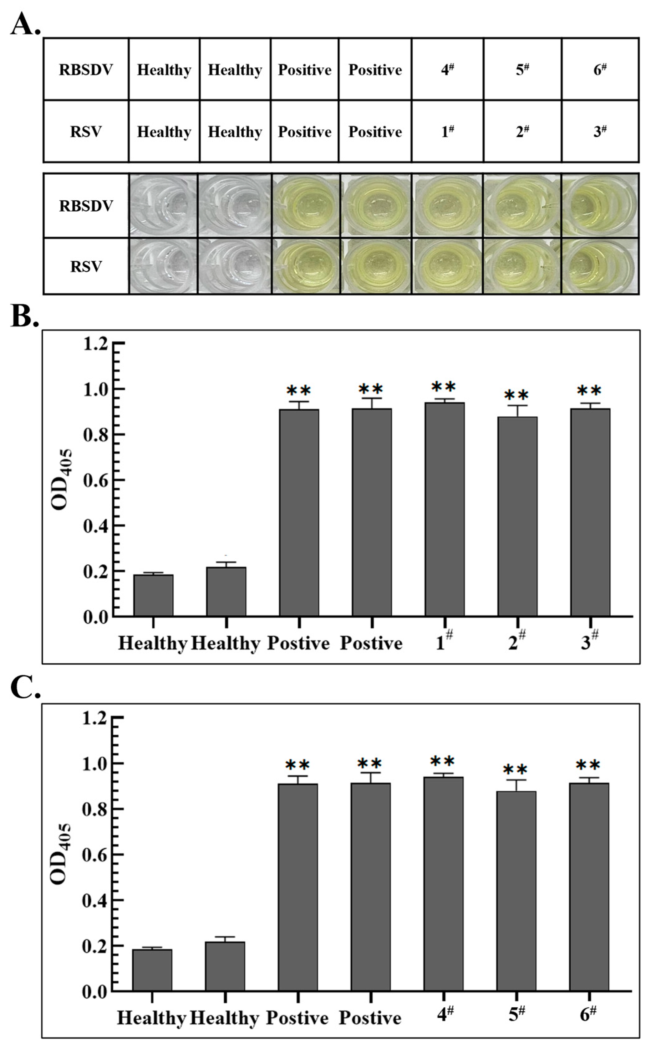Viruses 15 02127 g004