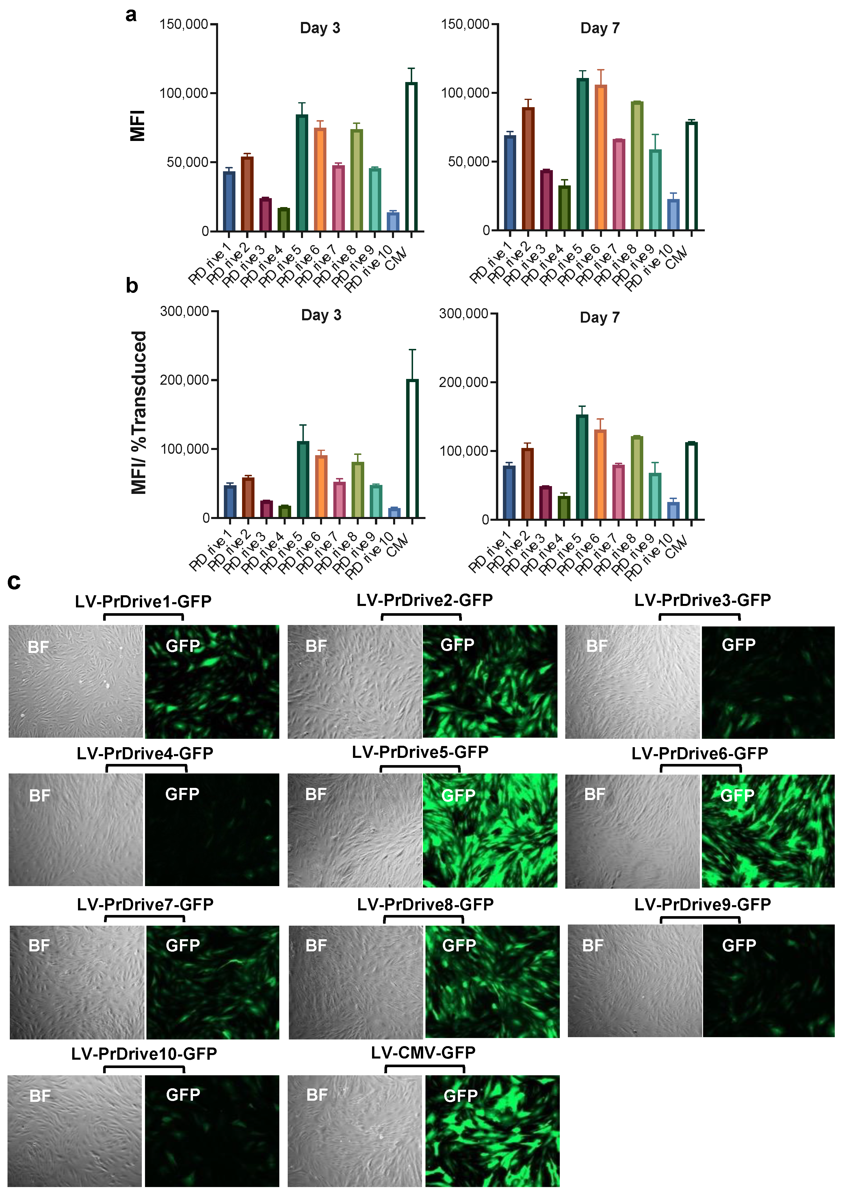 Viruses 15 02255 g005