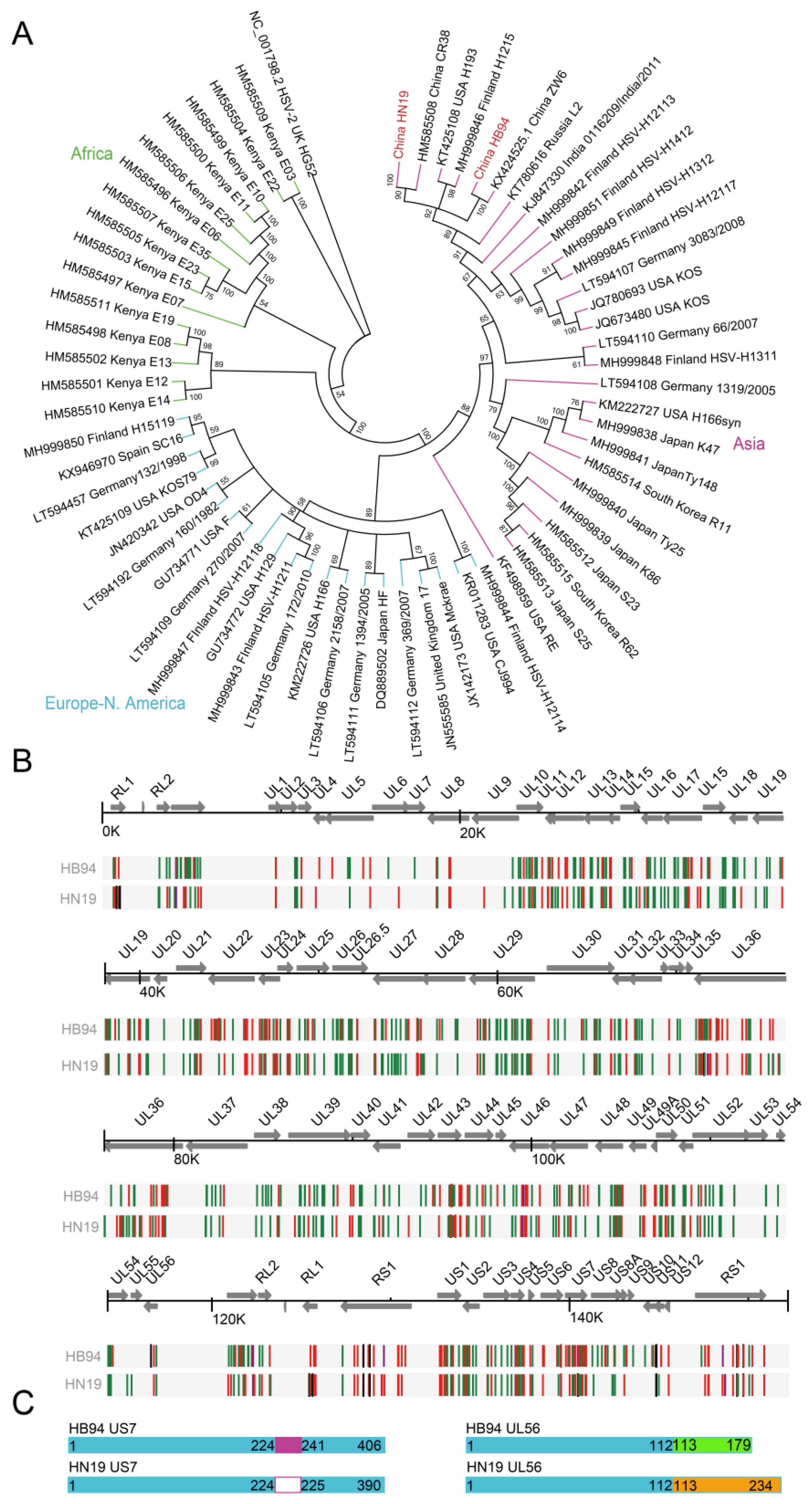 Viruses 15 02256 g002