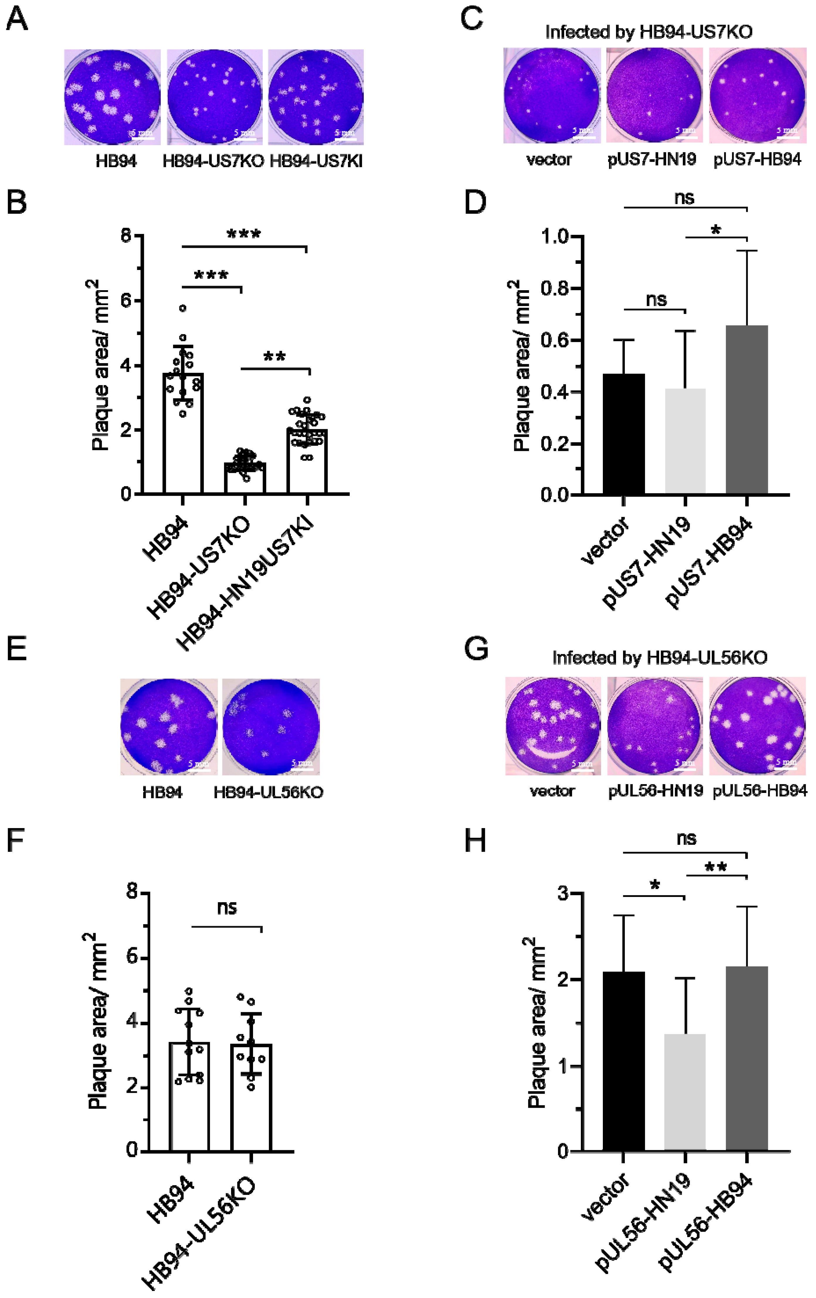 Viruses 15 02256 g003