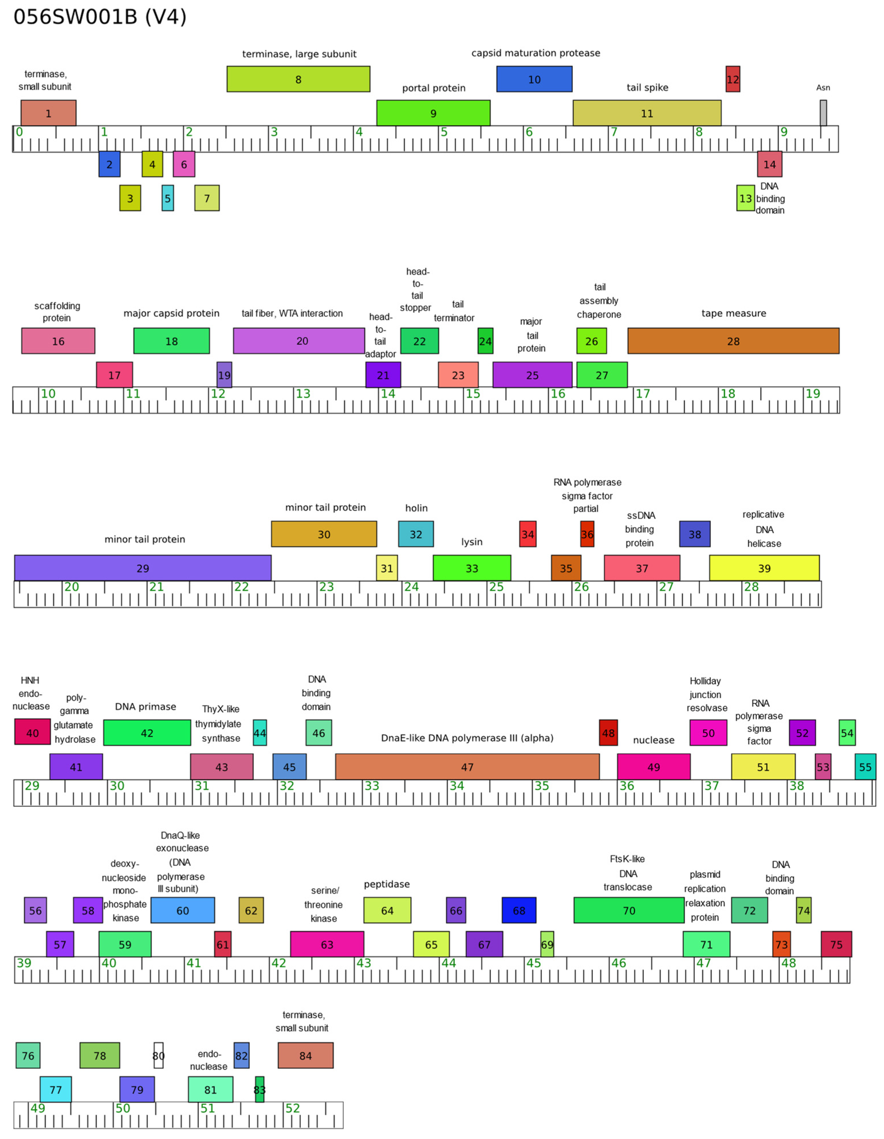 Viruses 15 02267 g001