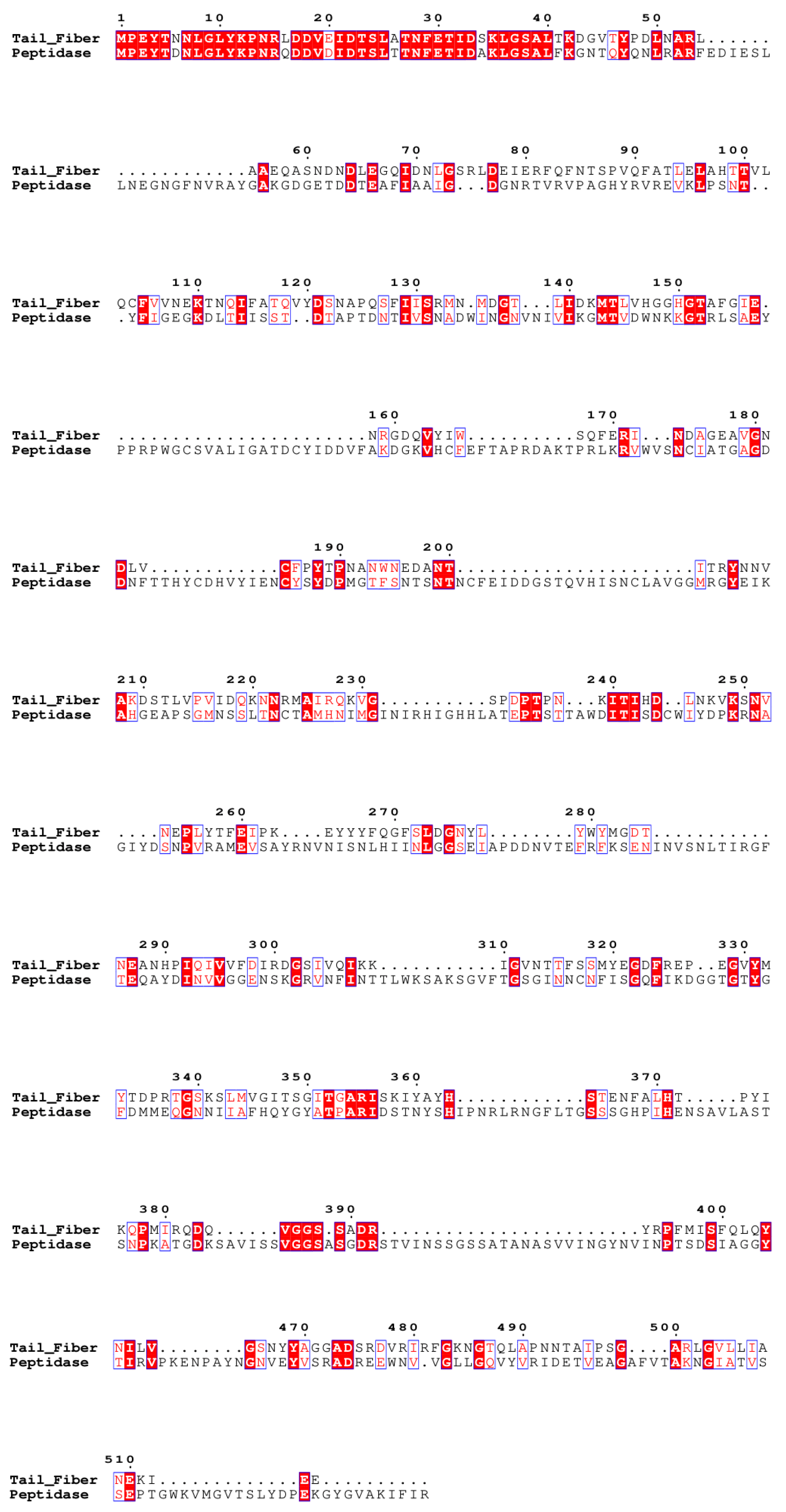 Viruses 15 02267 g004