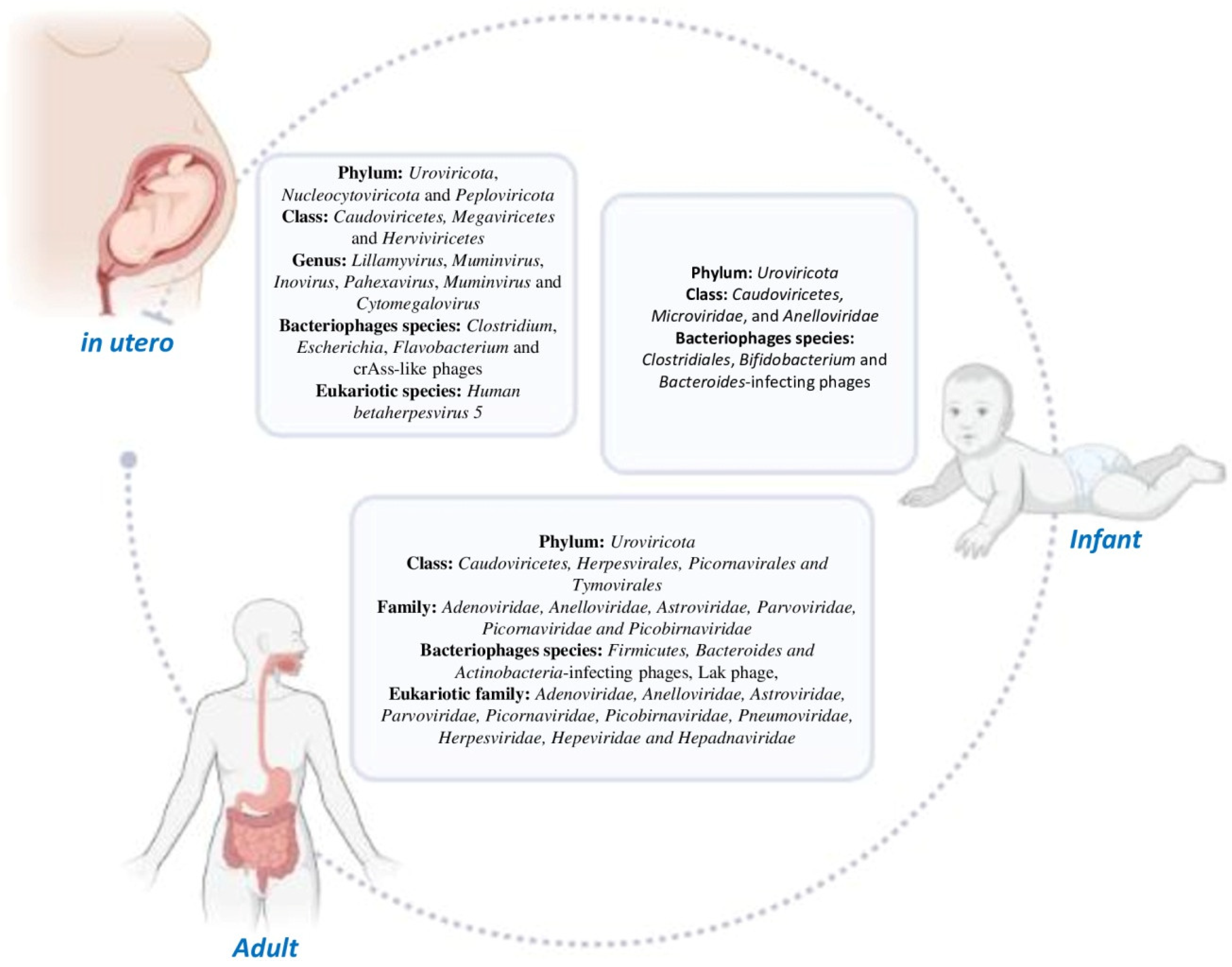 Viruses 15 02271 g001