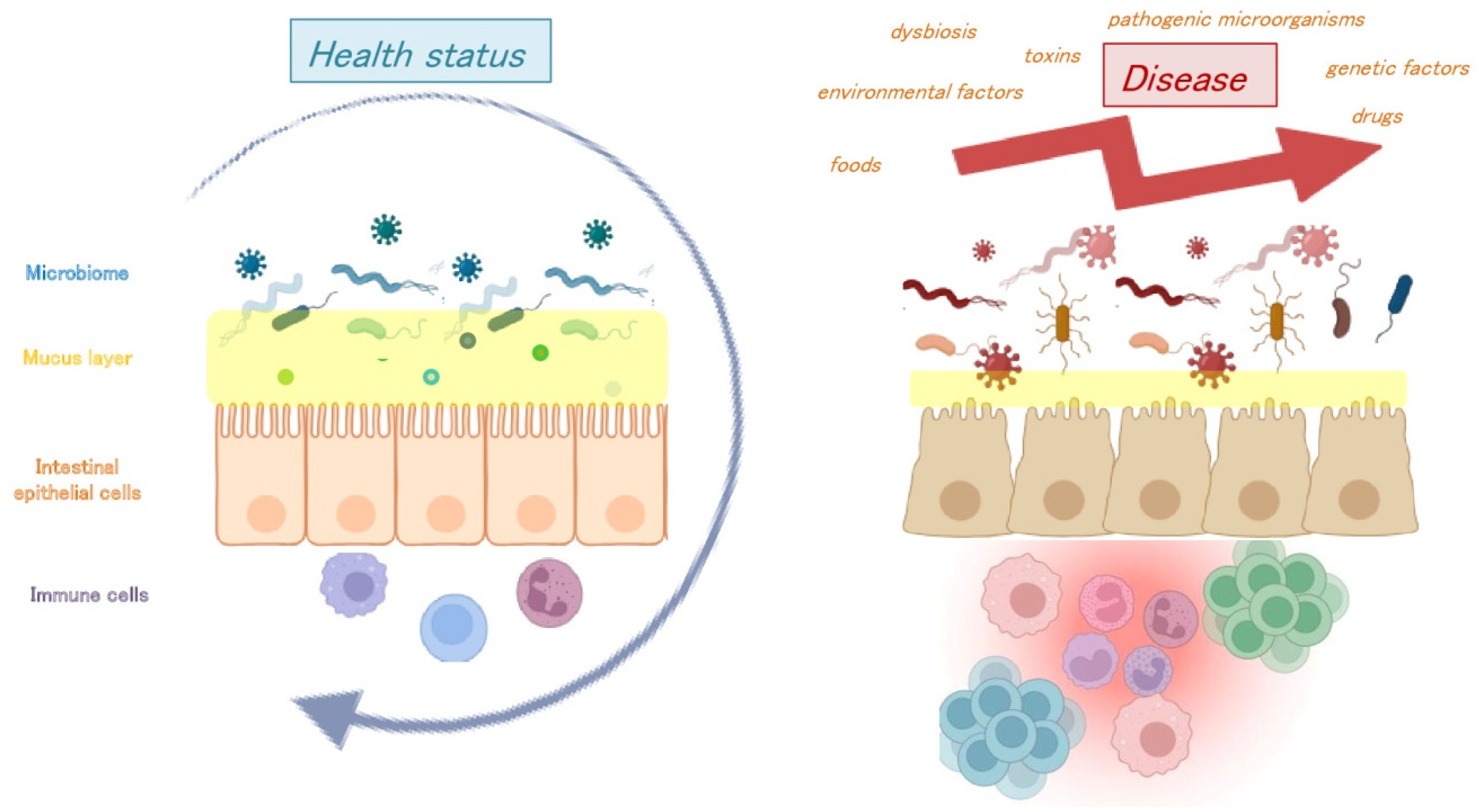 Viruses 15 02271 g002