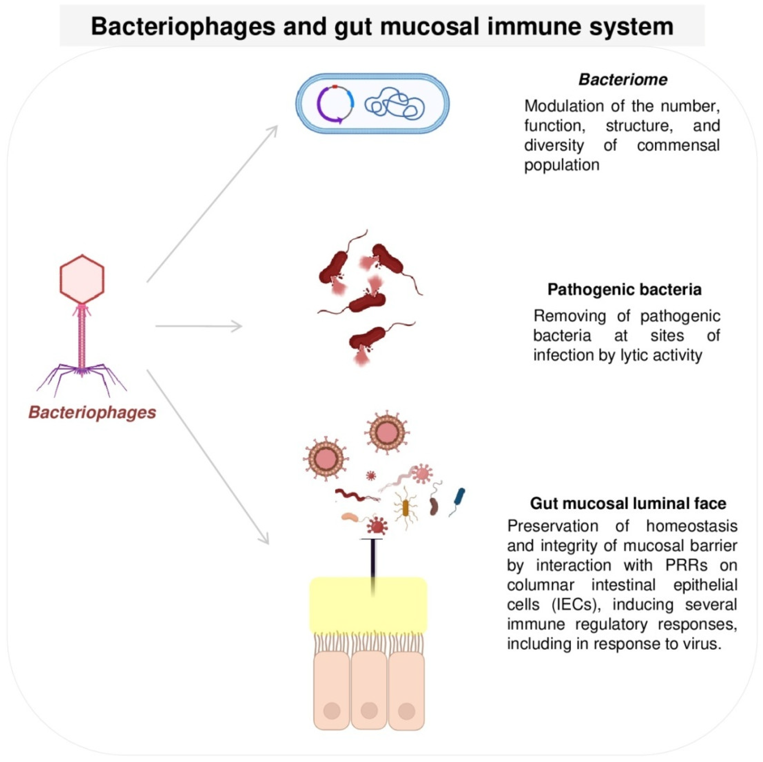 Viruses 15 02271 g003