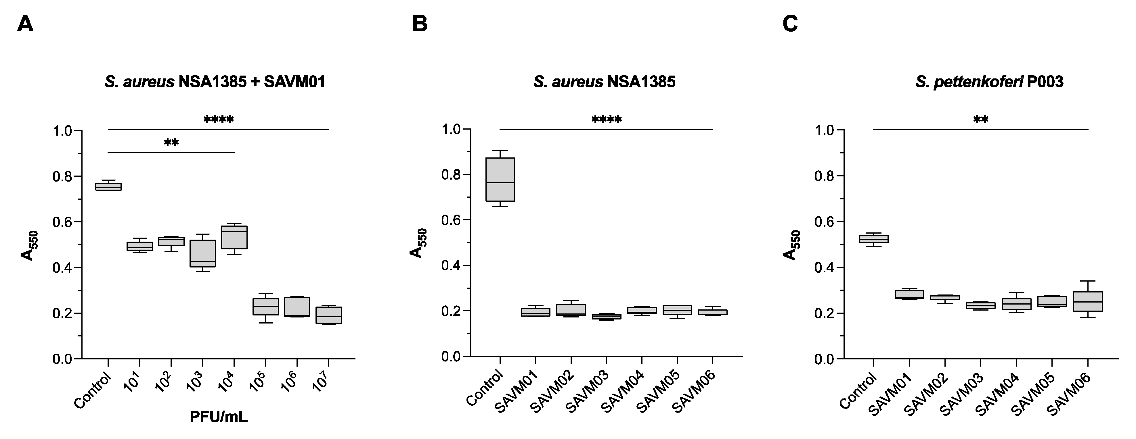 Viruses 15 02287 g004