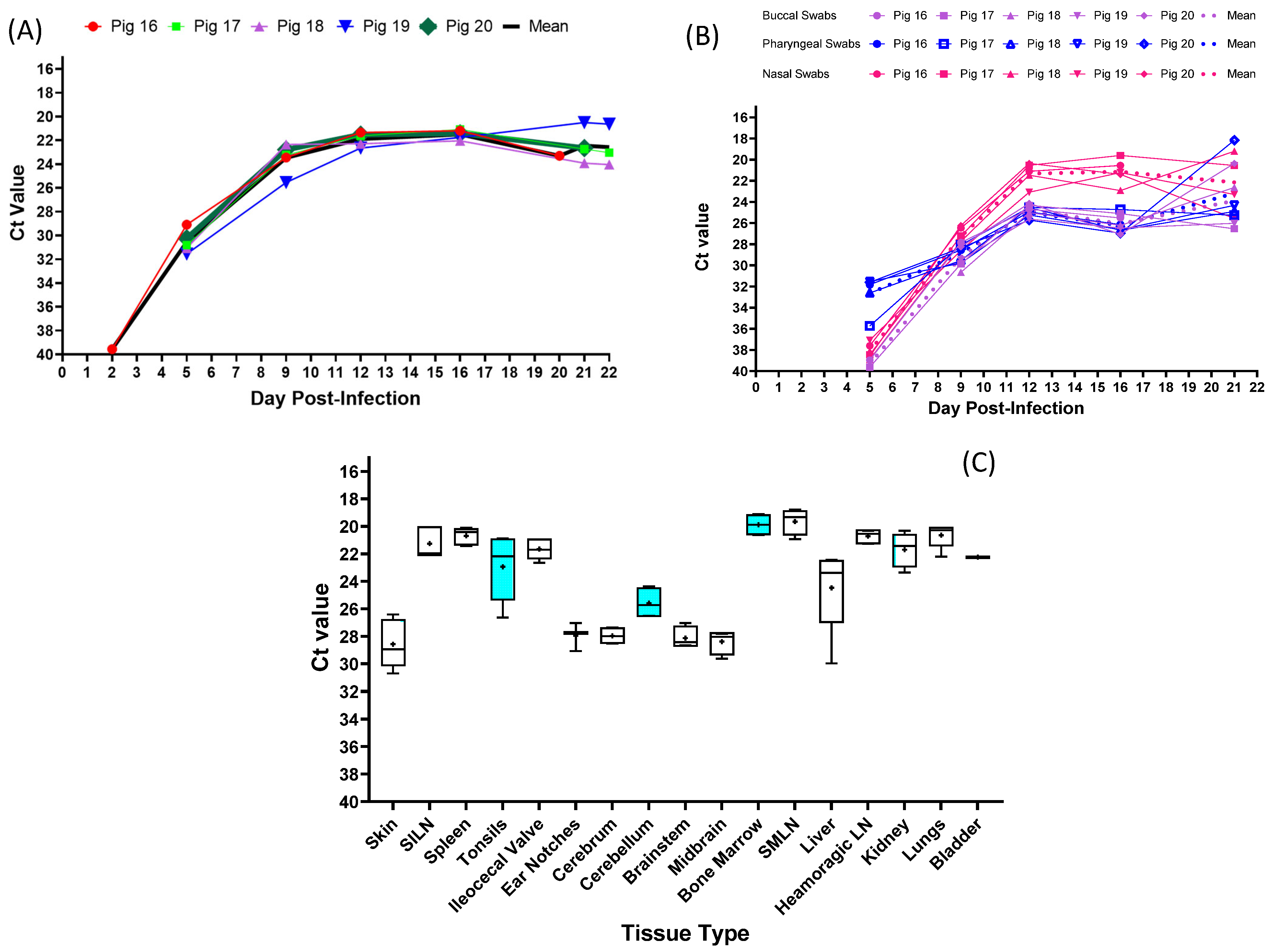 Viruses 15 02308 g004