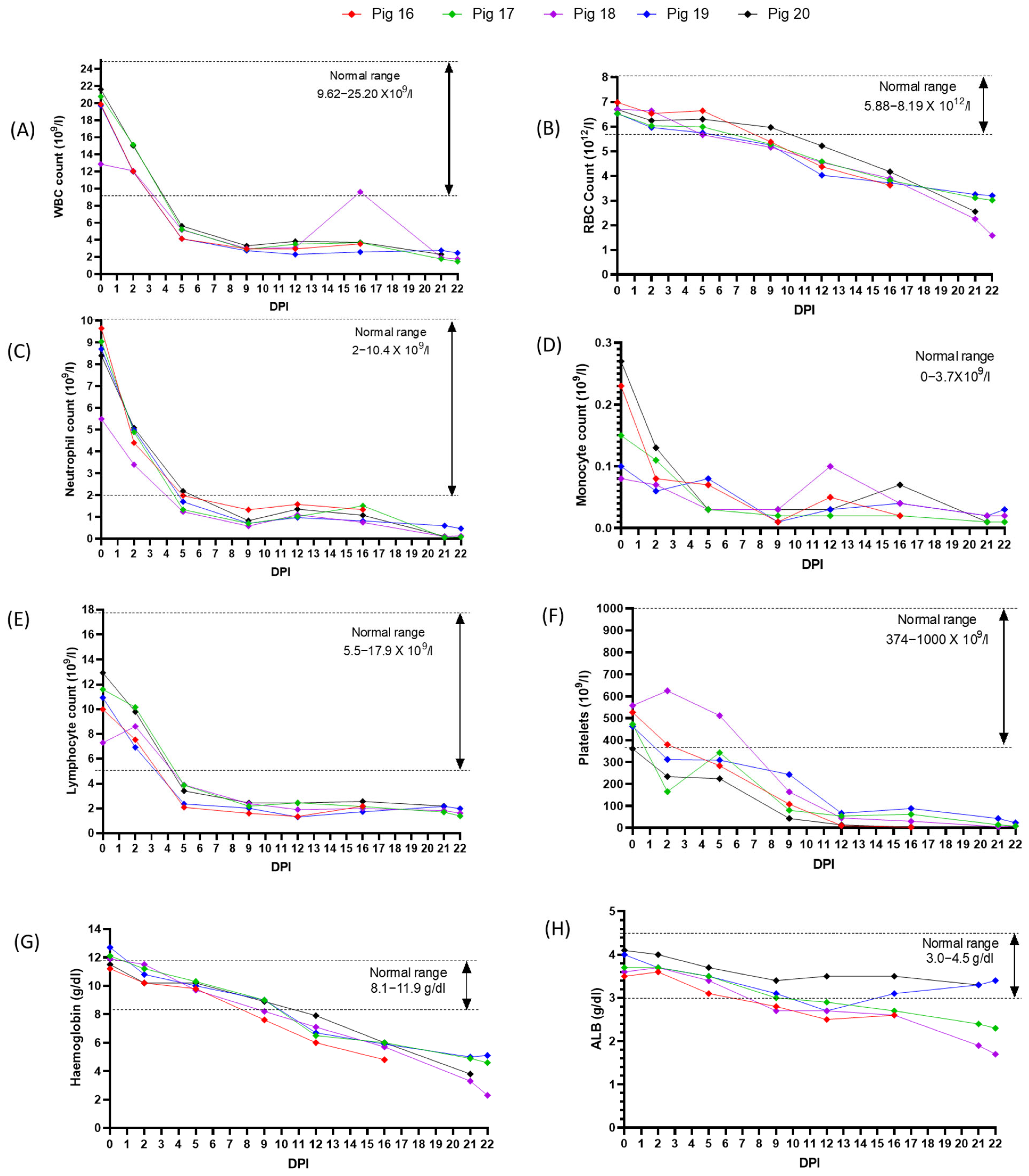 Viruses 15 02308 g006