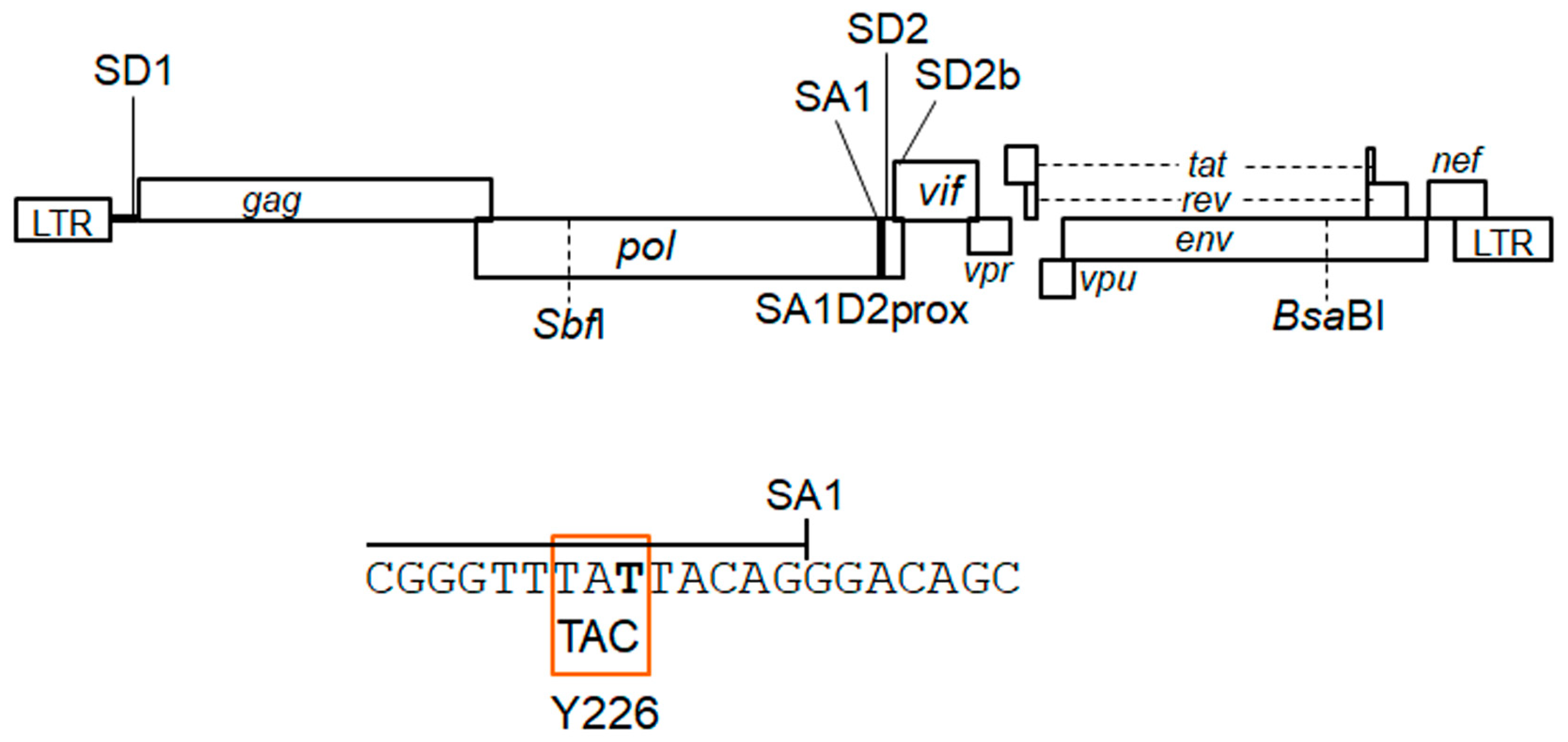 Viruses 15 02424 g001 Viruses 15 02424 g001