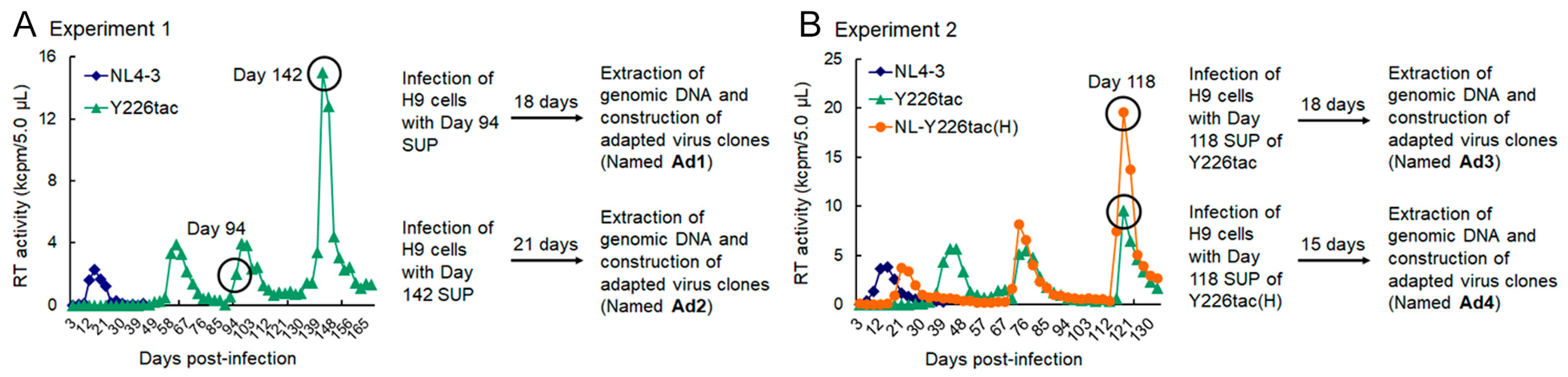 Viruses 15 02424 g002 Viruses 15 02424 g002