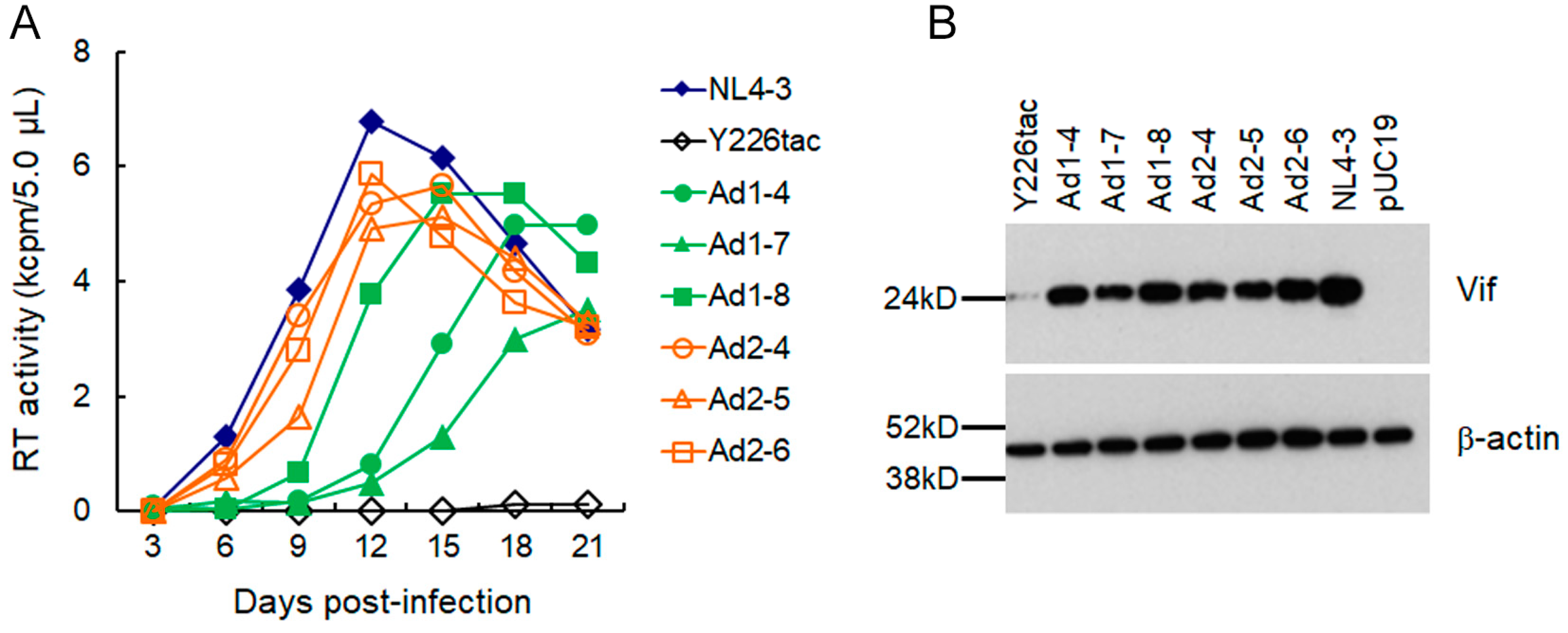 Viruses 15 02424 g003 Viruses 15 02424 g003