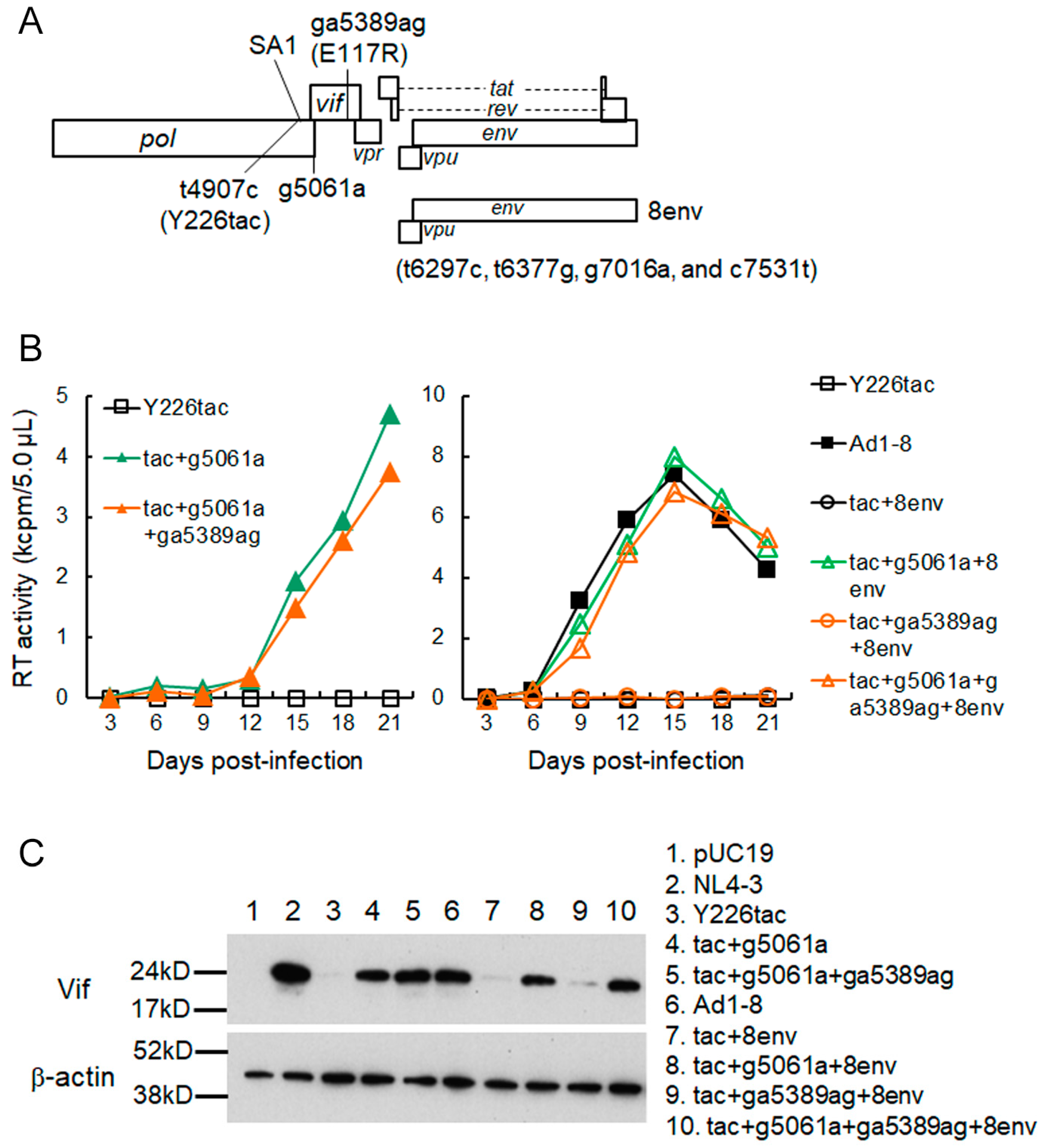 Viruses 15 02424 g004 Viruses 15 02424 g004