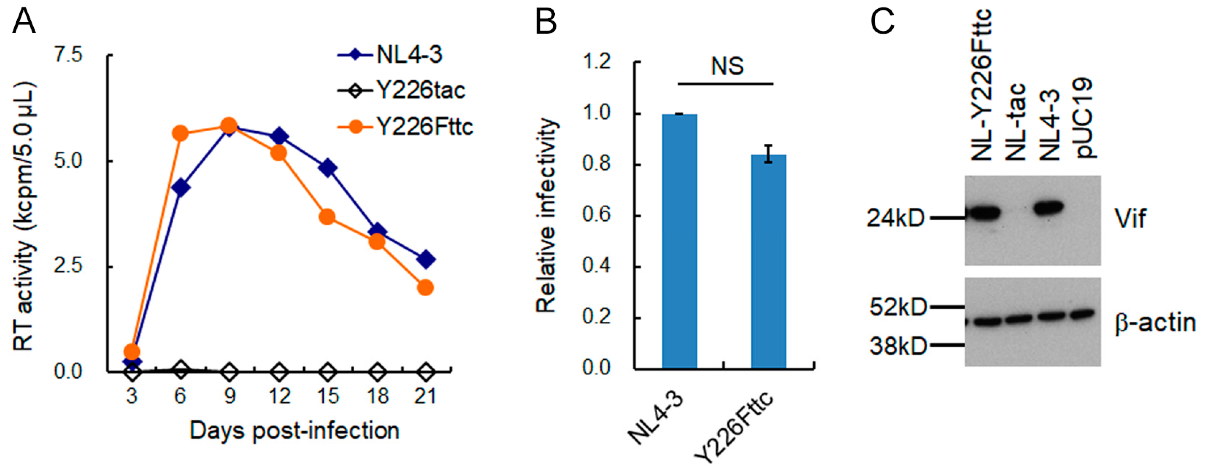 Viruses 15 02424 g007 Viruses 15 02424 g007