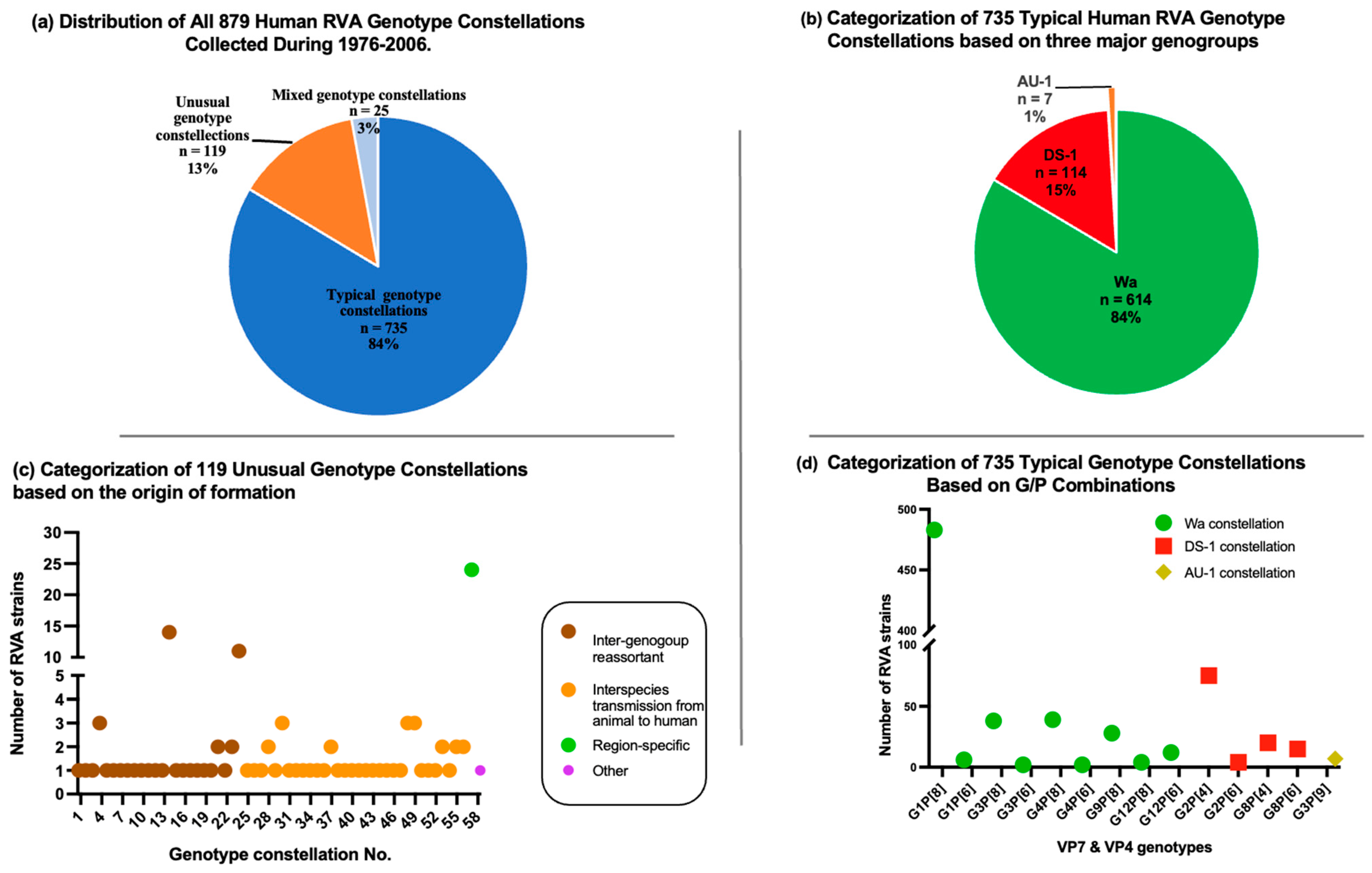 Viruses 15 02453 g001