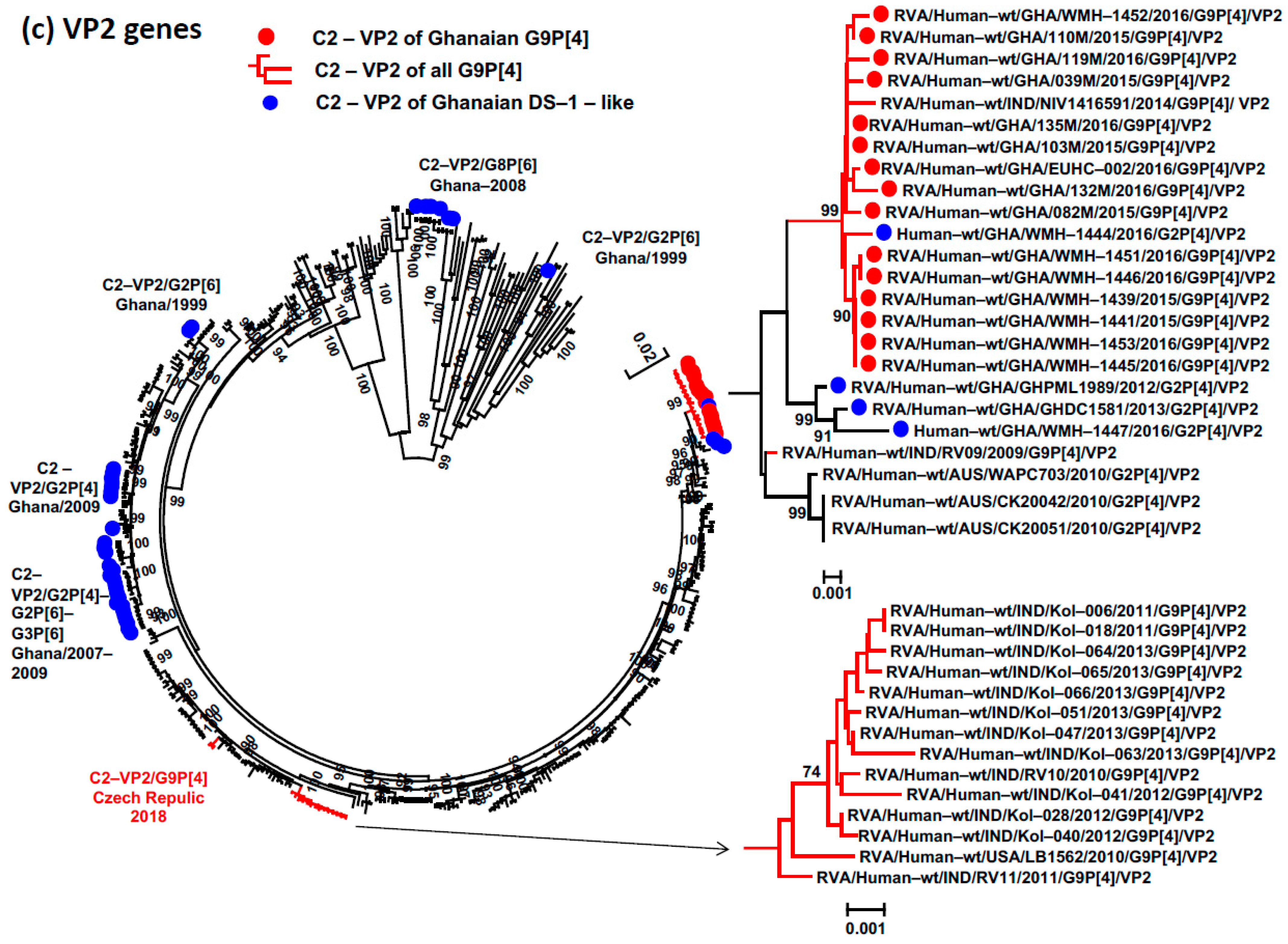Viruses 15 02453 g002c
