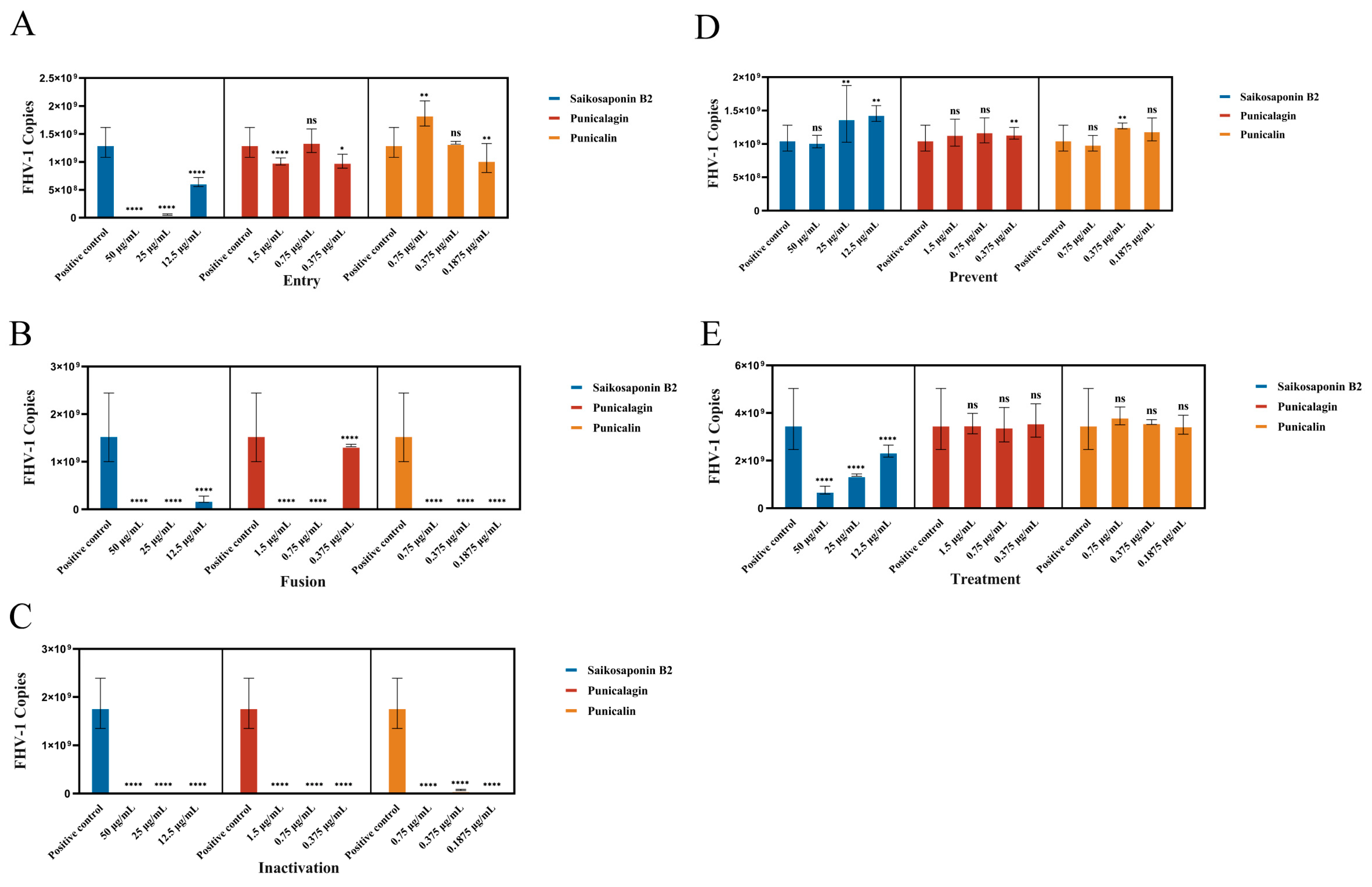 Viruses 16 00231 g006