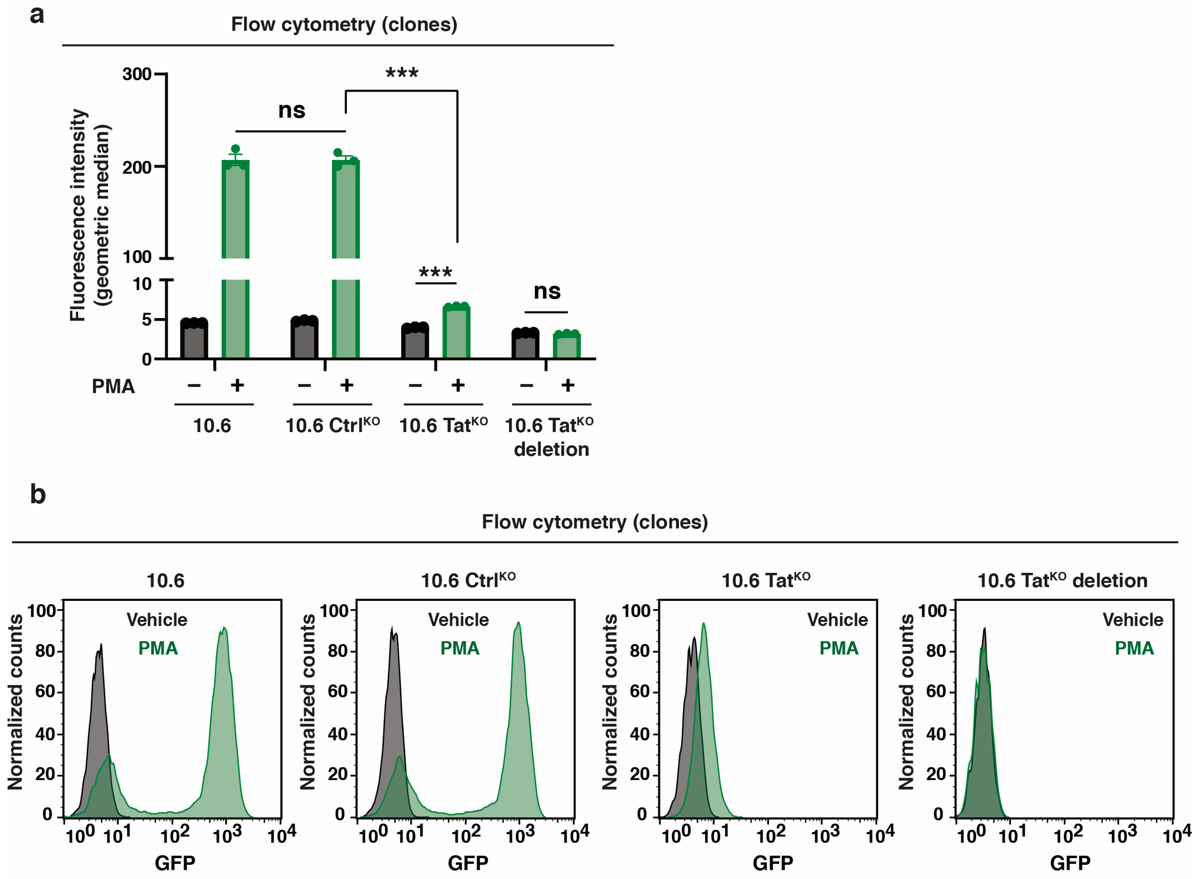 Viruses 16 00287 g004
