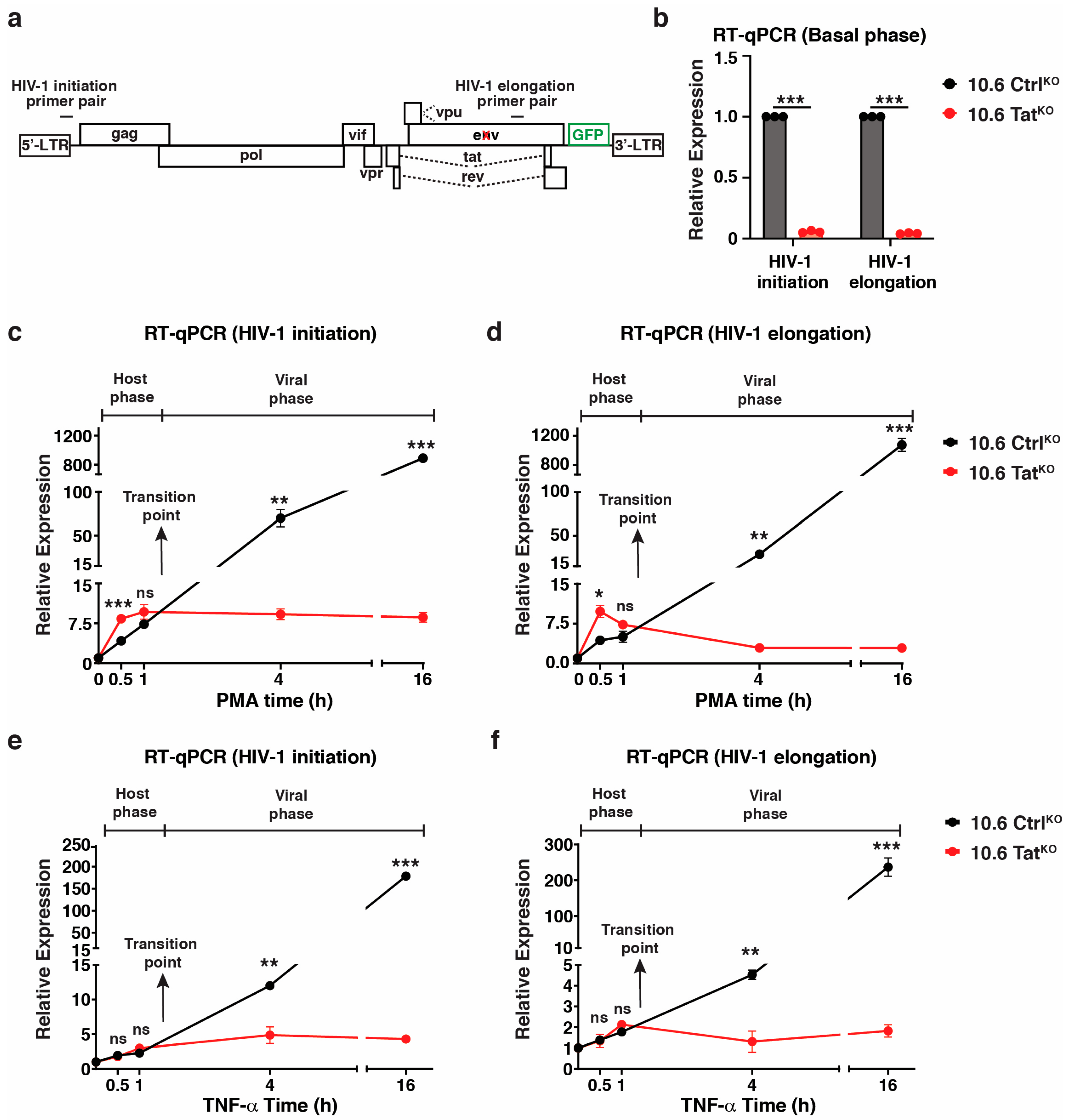 Viruses 16 00287 g005