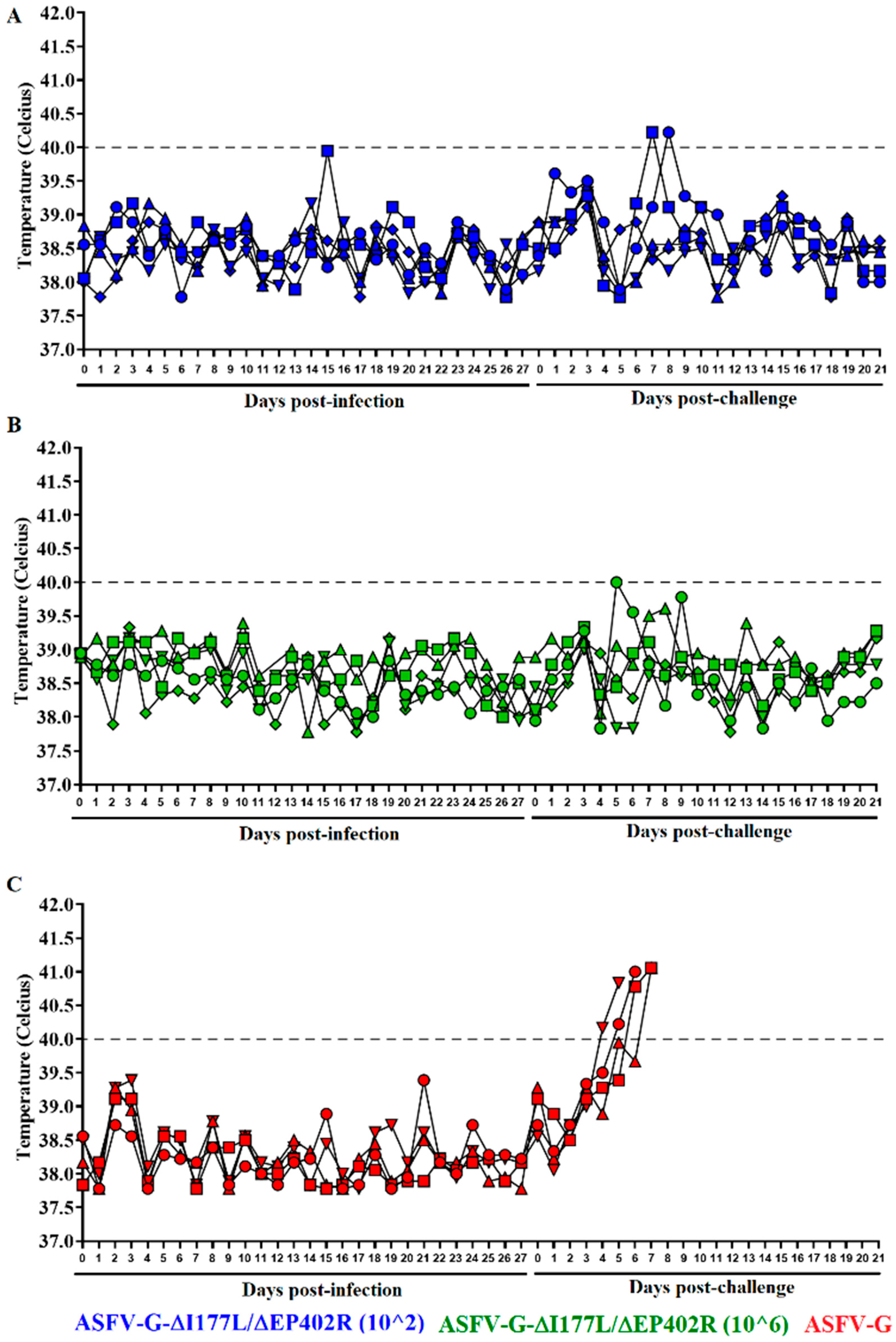 Viruses 16 00376 g003