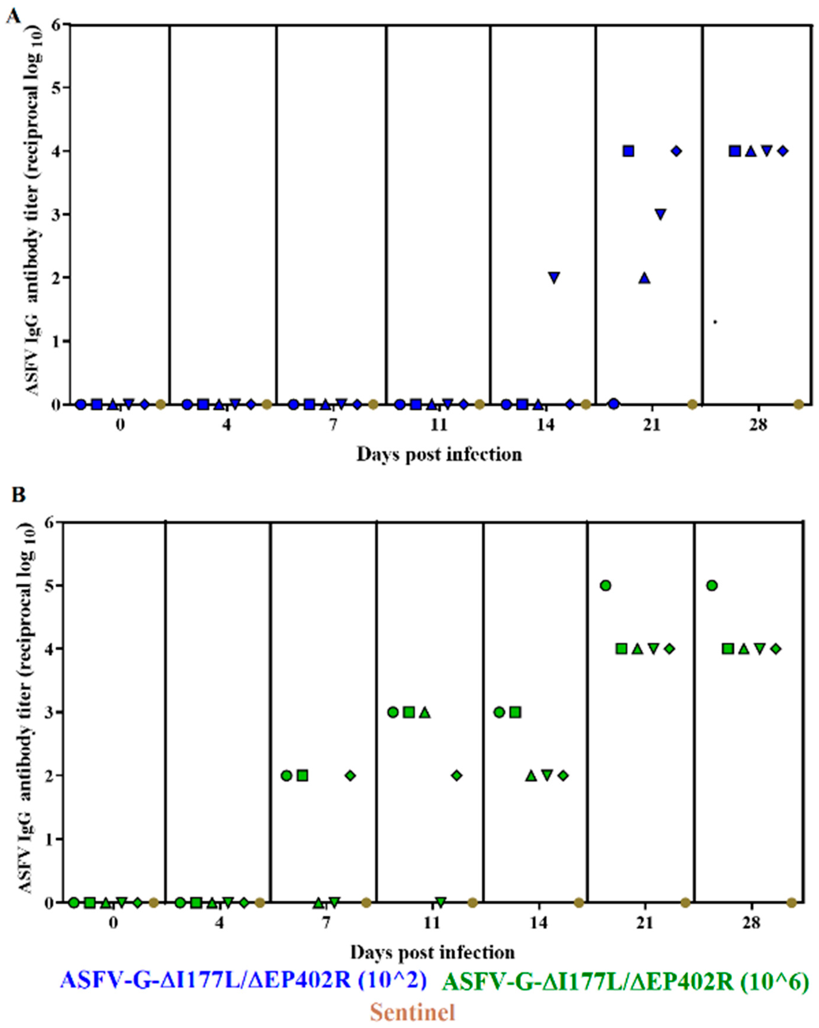 Viruses 16 00376 g005