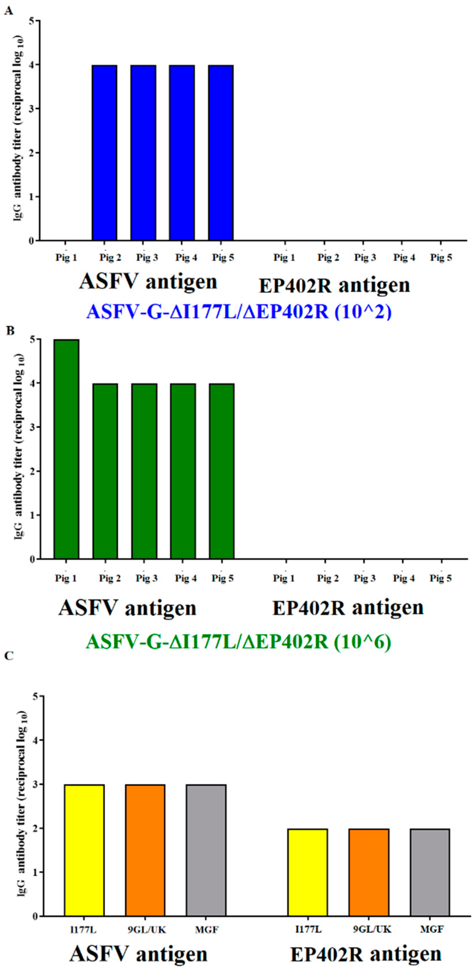 Viruses 16 00376 g007