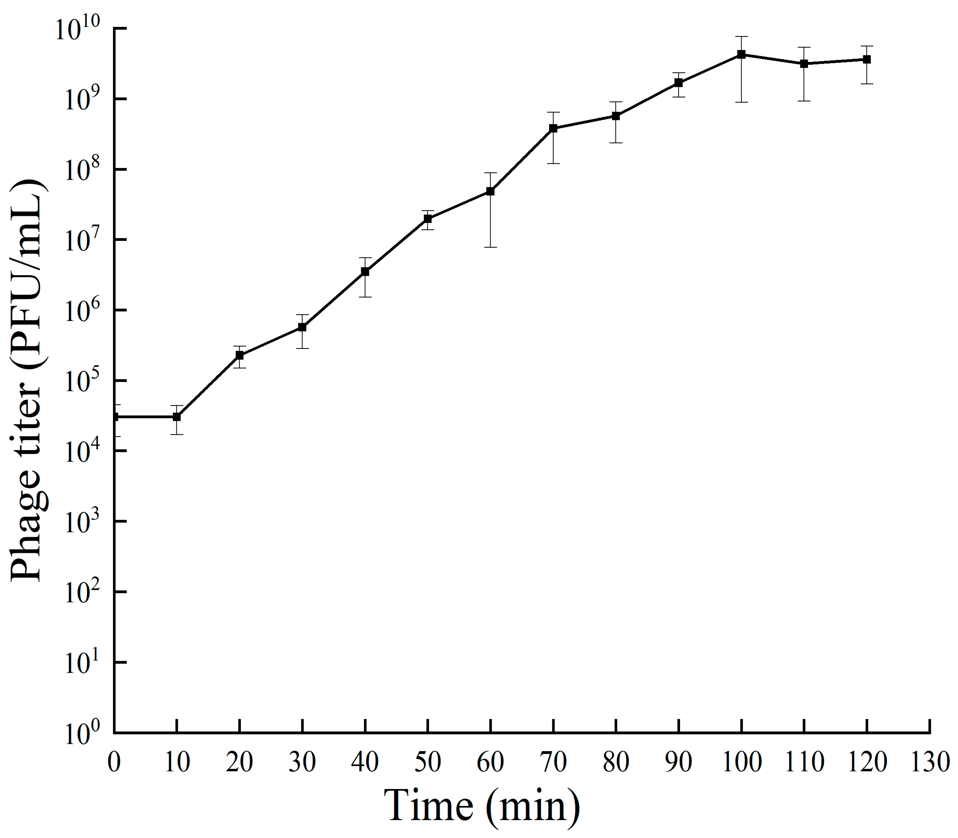 Viruses 16 00509 g002