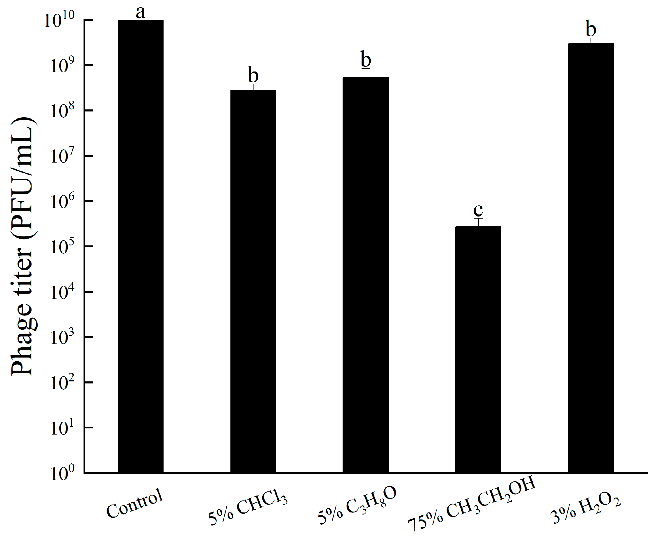 Viruses 16 00509 g006