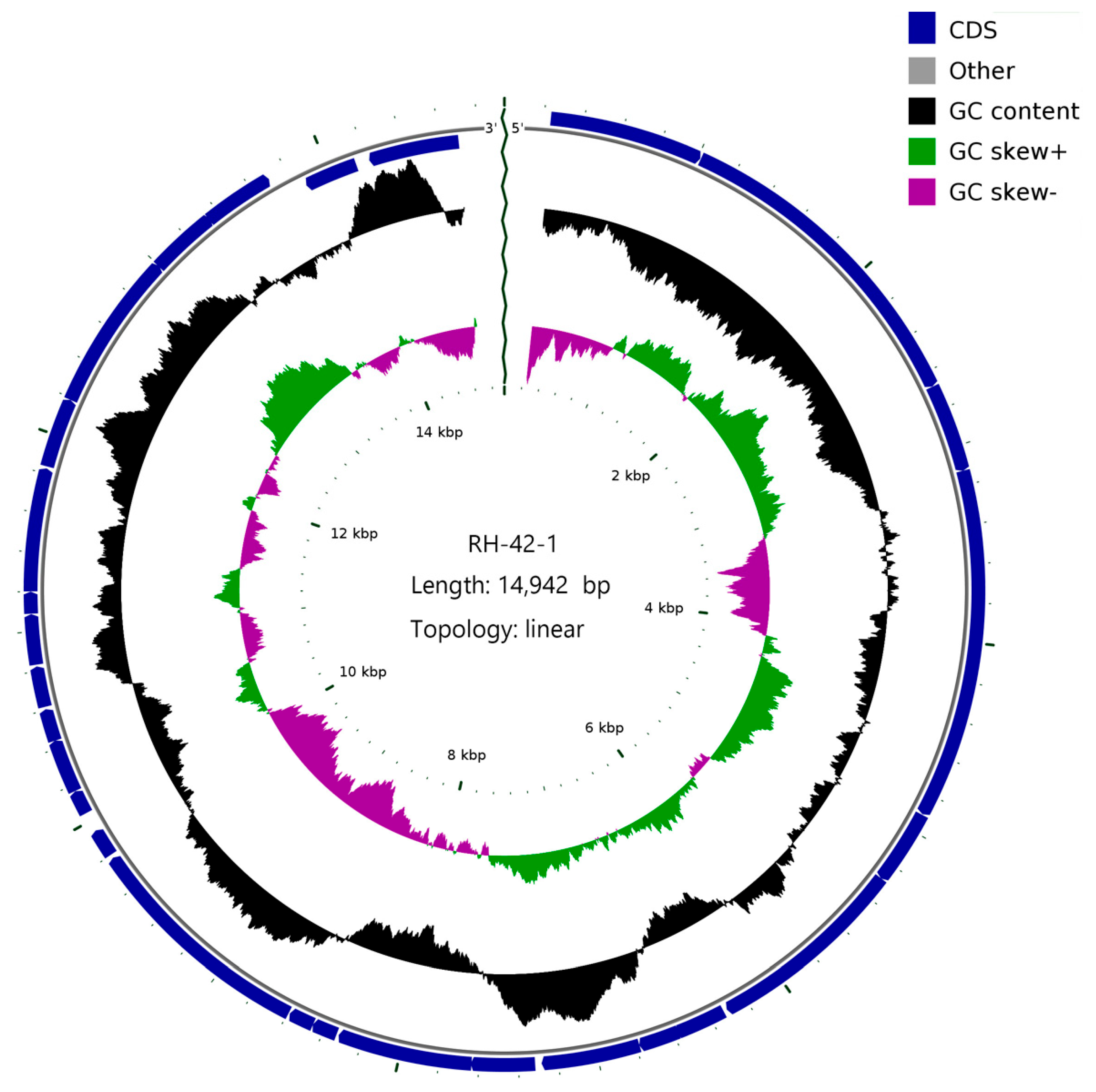 Viruses 16 00509 g007