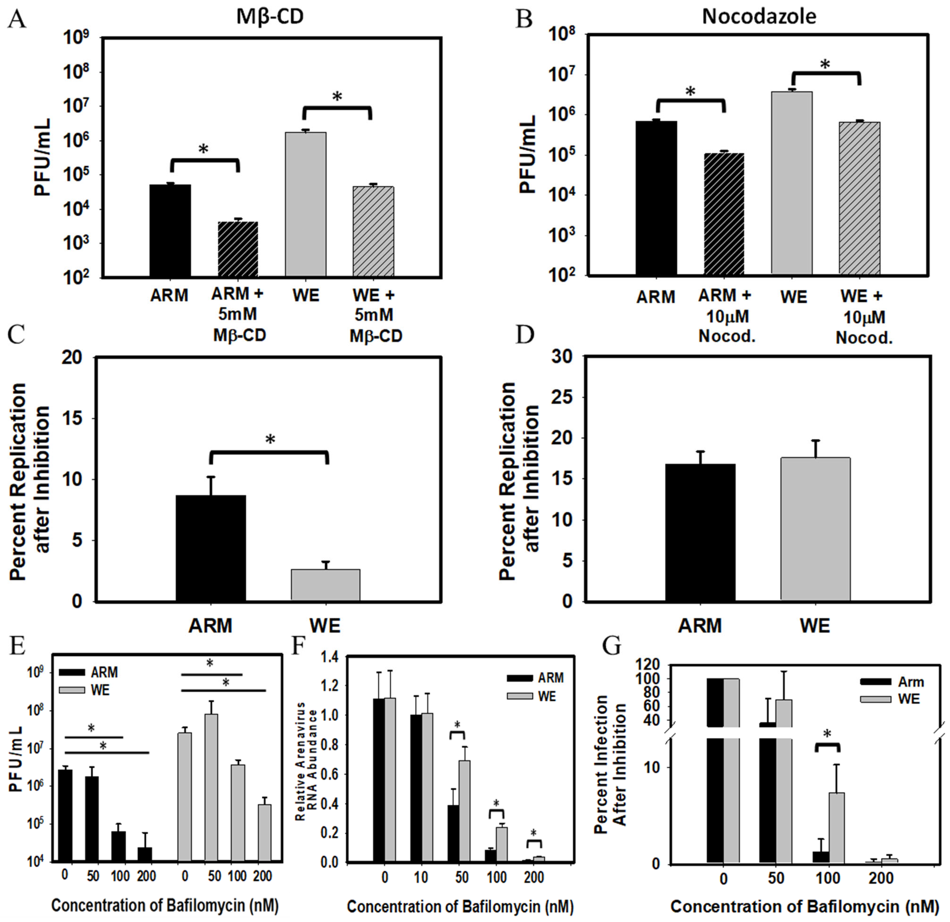 Viruses 16 00635 g001